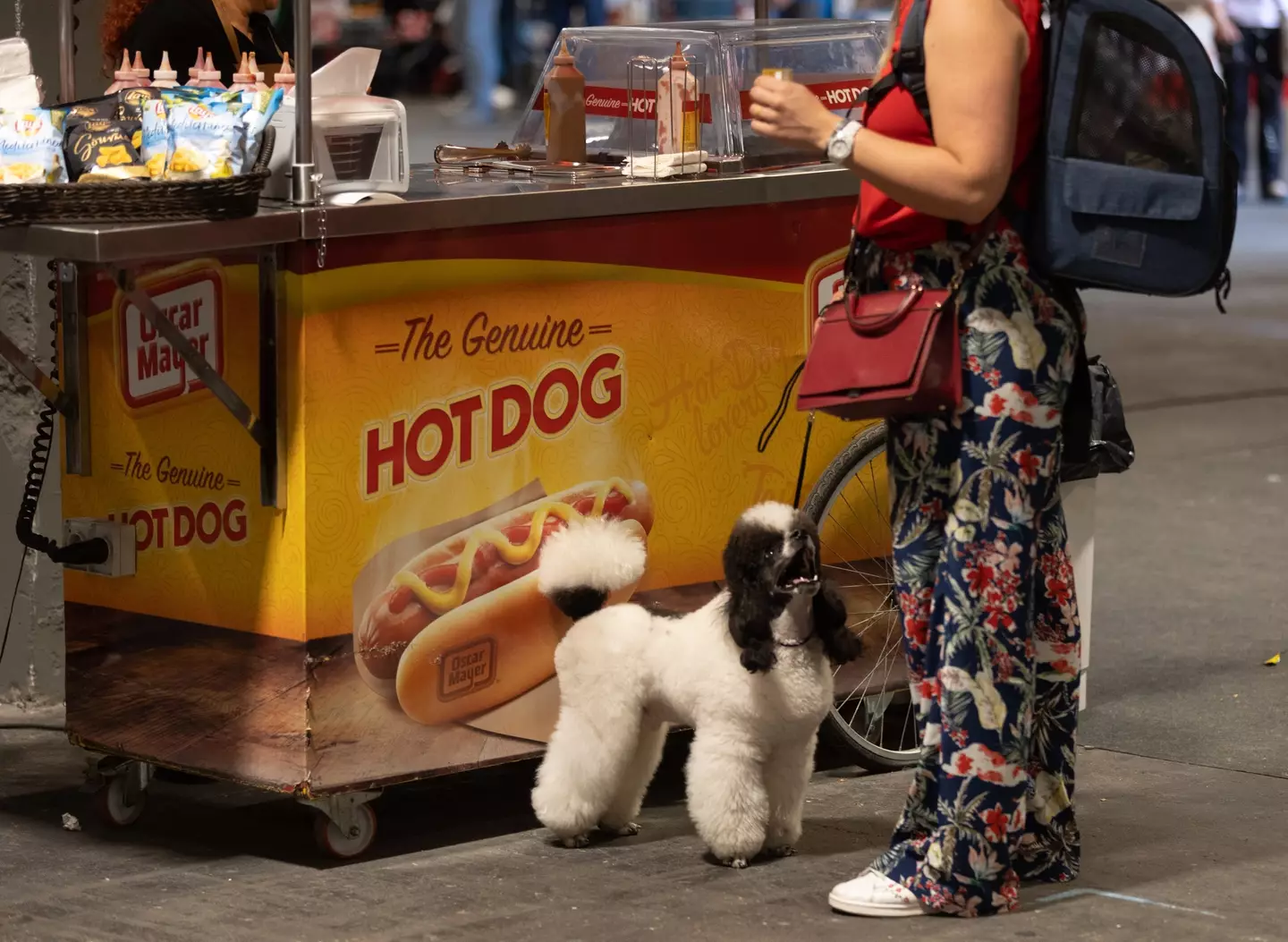 Kierans and Woods met while both working at a hot dog stand (Eduardo Parra/Europa Press via Getty Images)