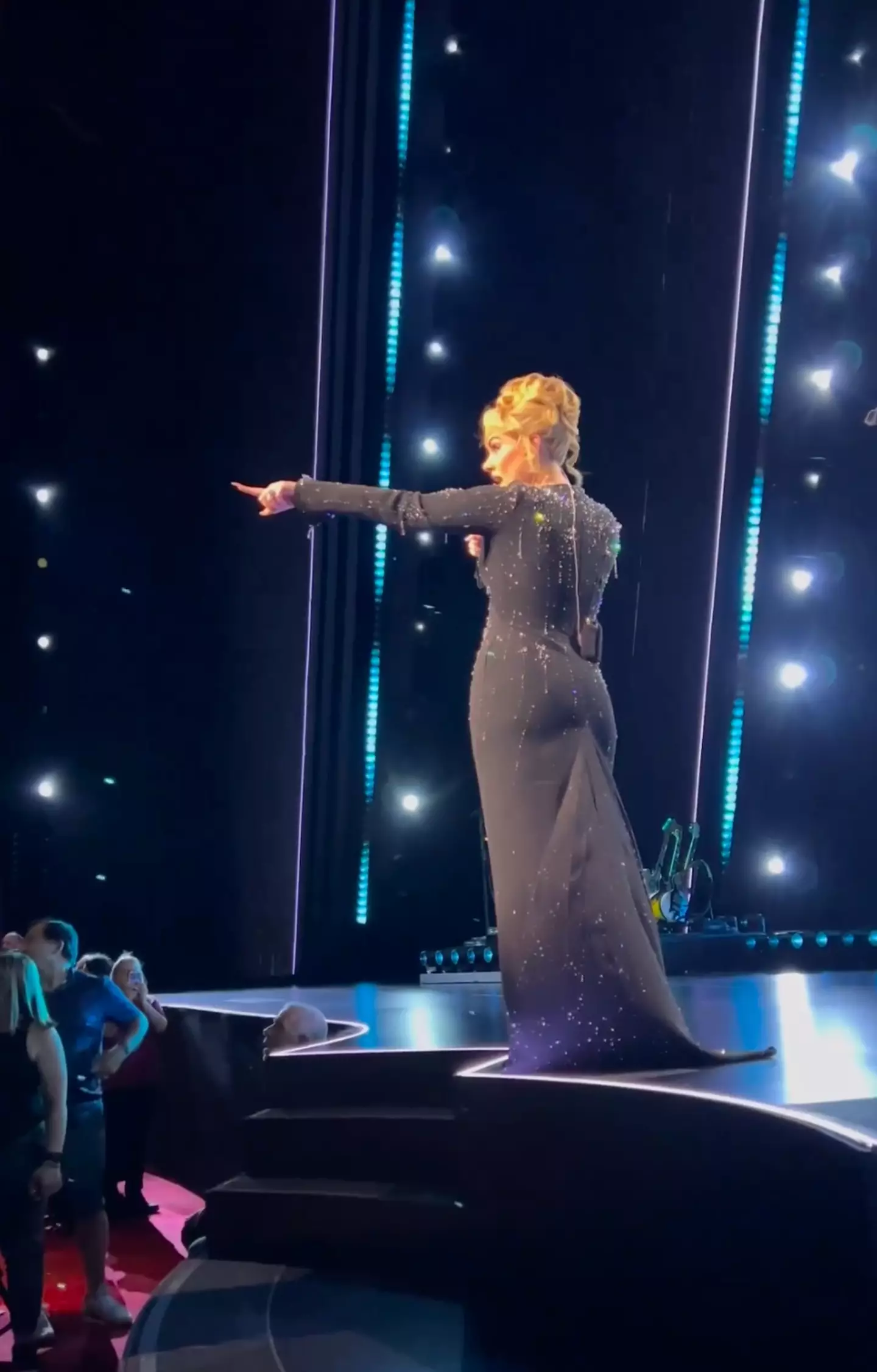 Adele angrily hit out at security.