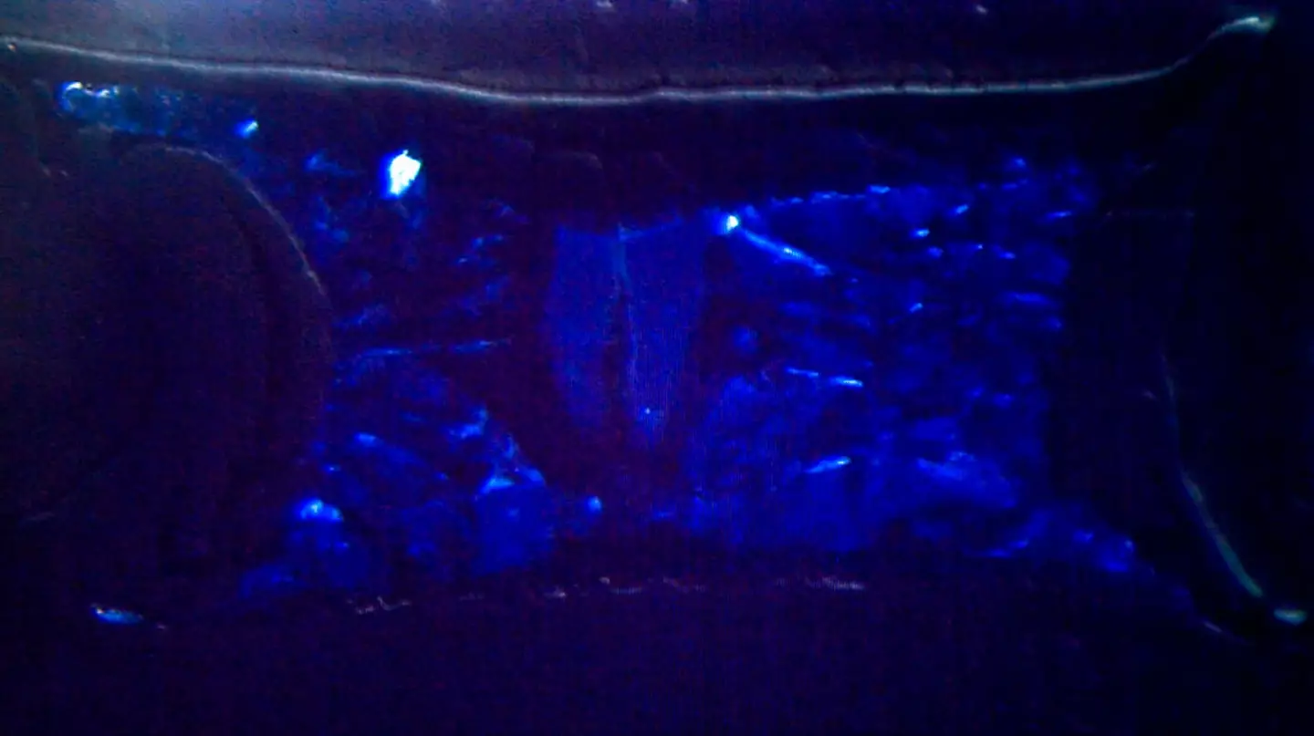 A sample of ringwoodite (THIERRY ZOCCOLAN/AFP via Getty Images)