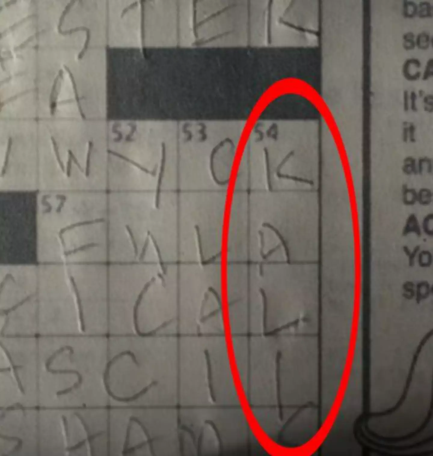One of the answers to the crossword was 'Kali' (