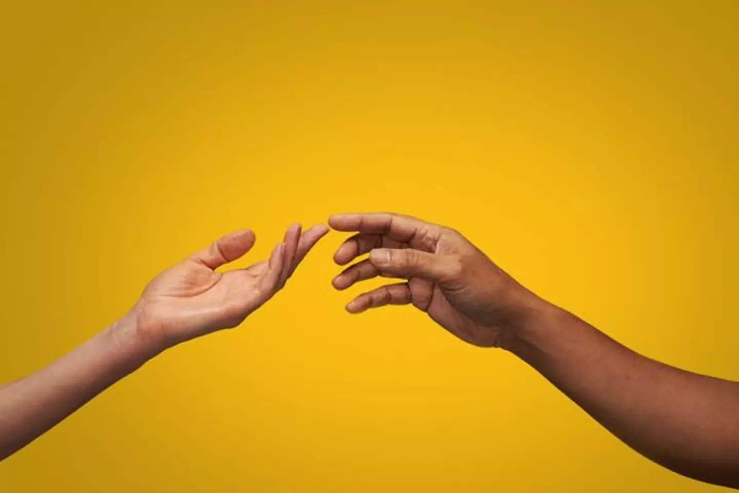 Hands scent compounds don't linger on crime scenes. (Kelvin Murray/Getty Images)