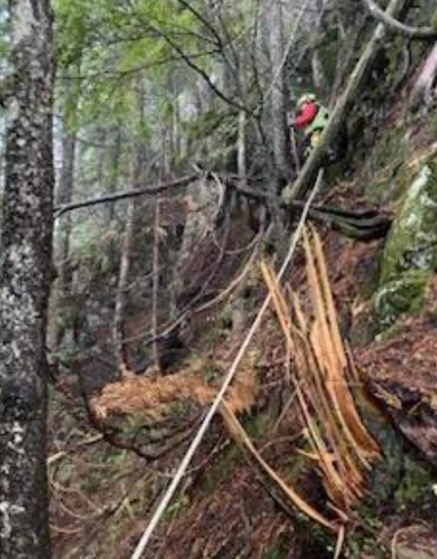 The trail was false.