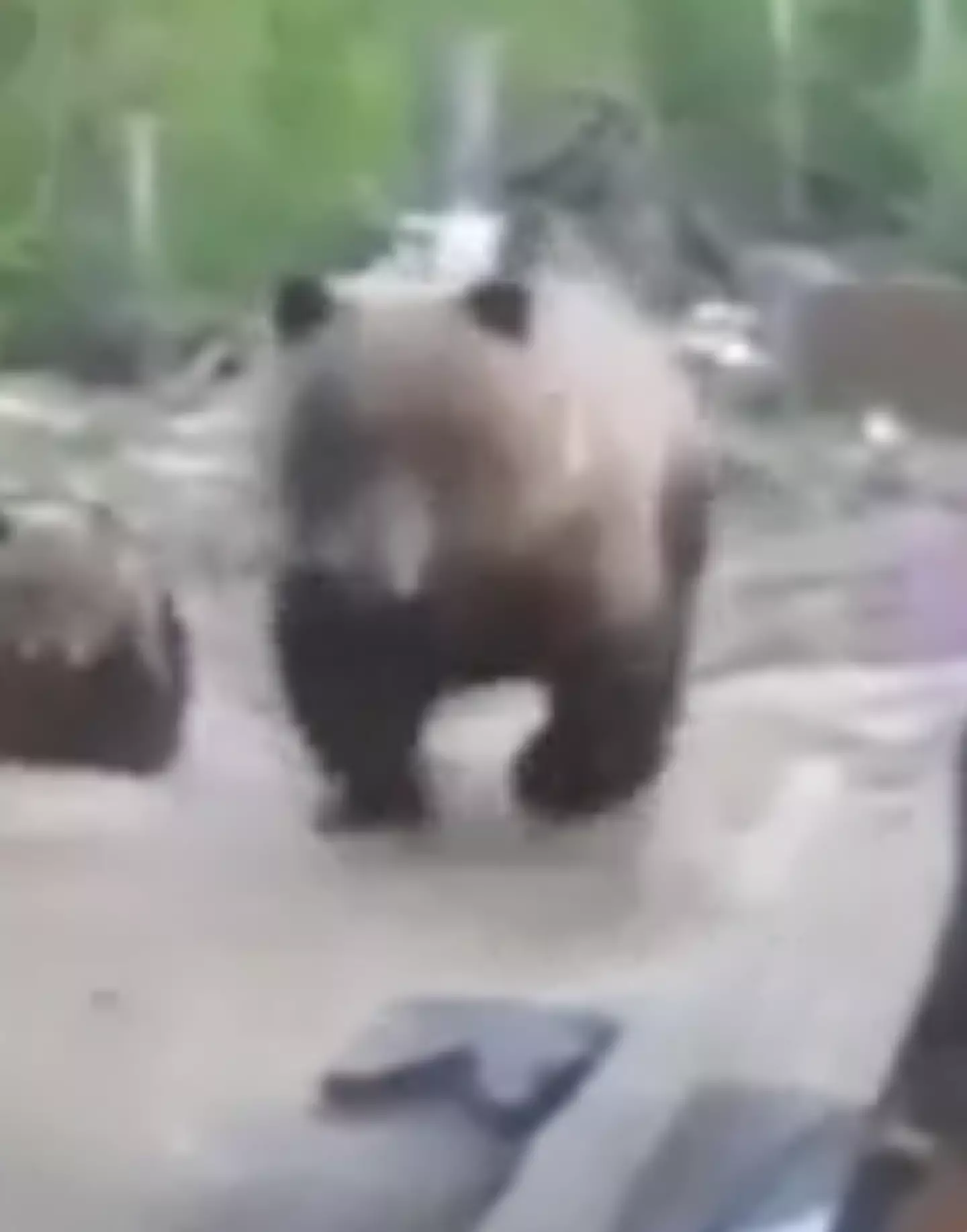 The terrifying last moments were caught on camera.