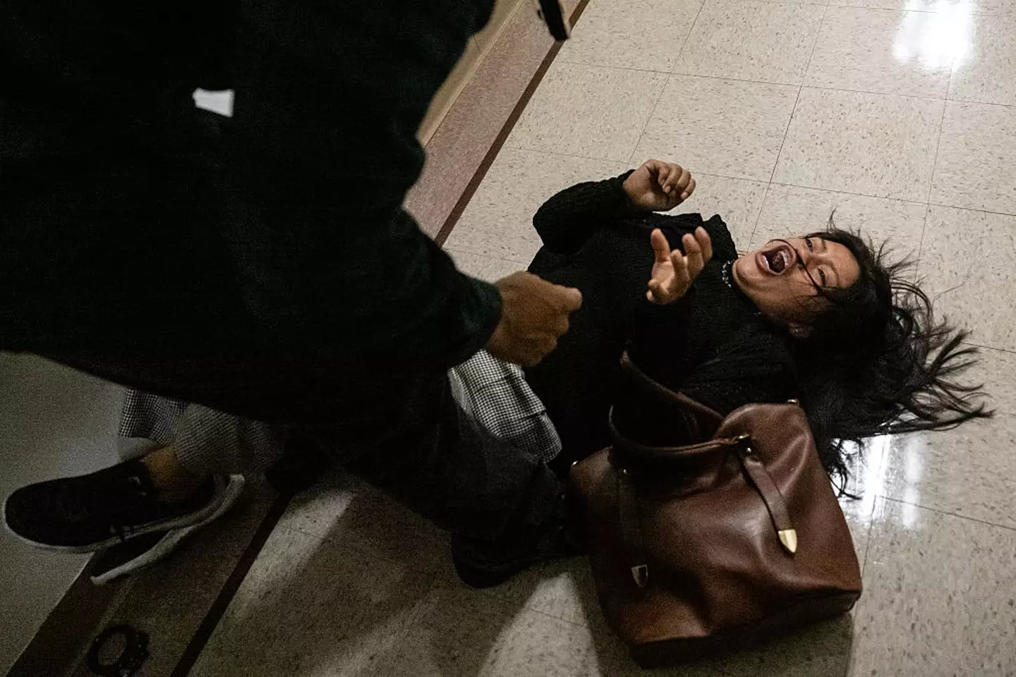 The mother was tackled to the ground by an ICE officer (Stephanie Keith/Getty Images)