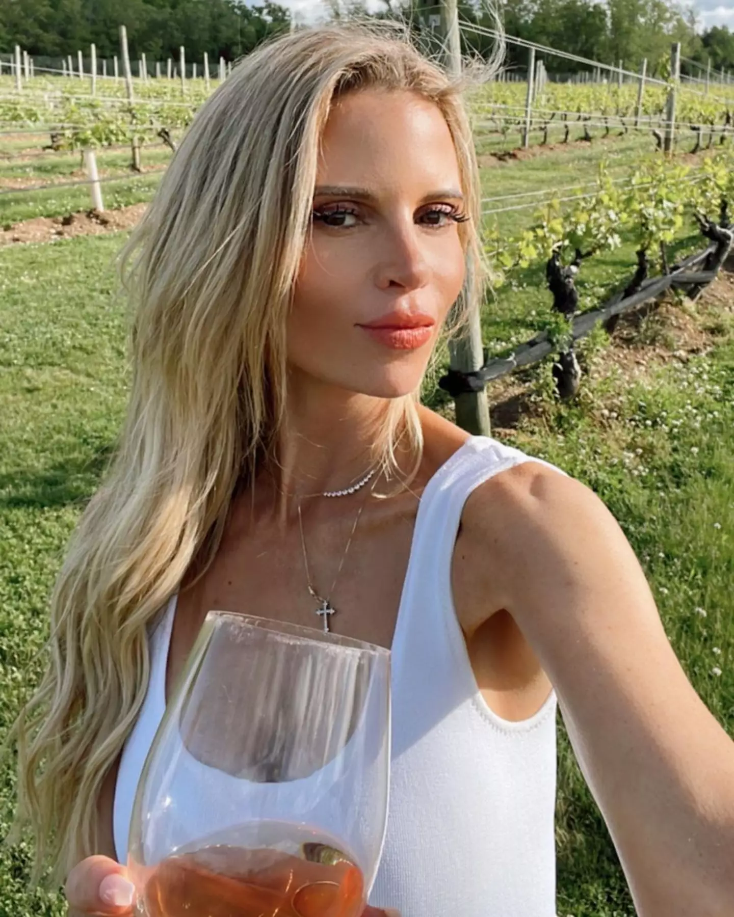 Entourage star Shana Wall is suing American Airlines. (Instagram/@shanachampagne_cs)