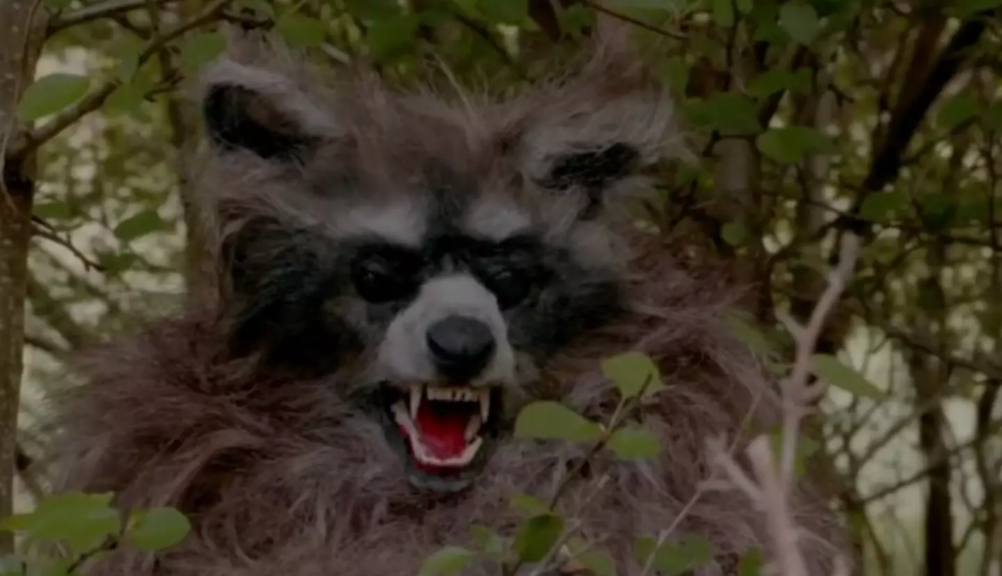 Crackcoon is bringing real Cocaine Bear vibes.