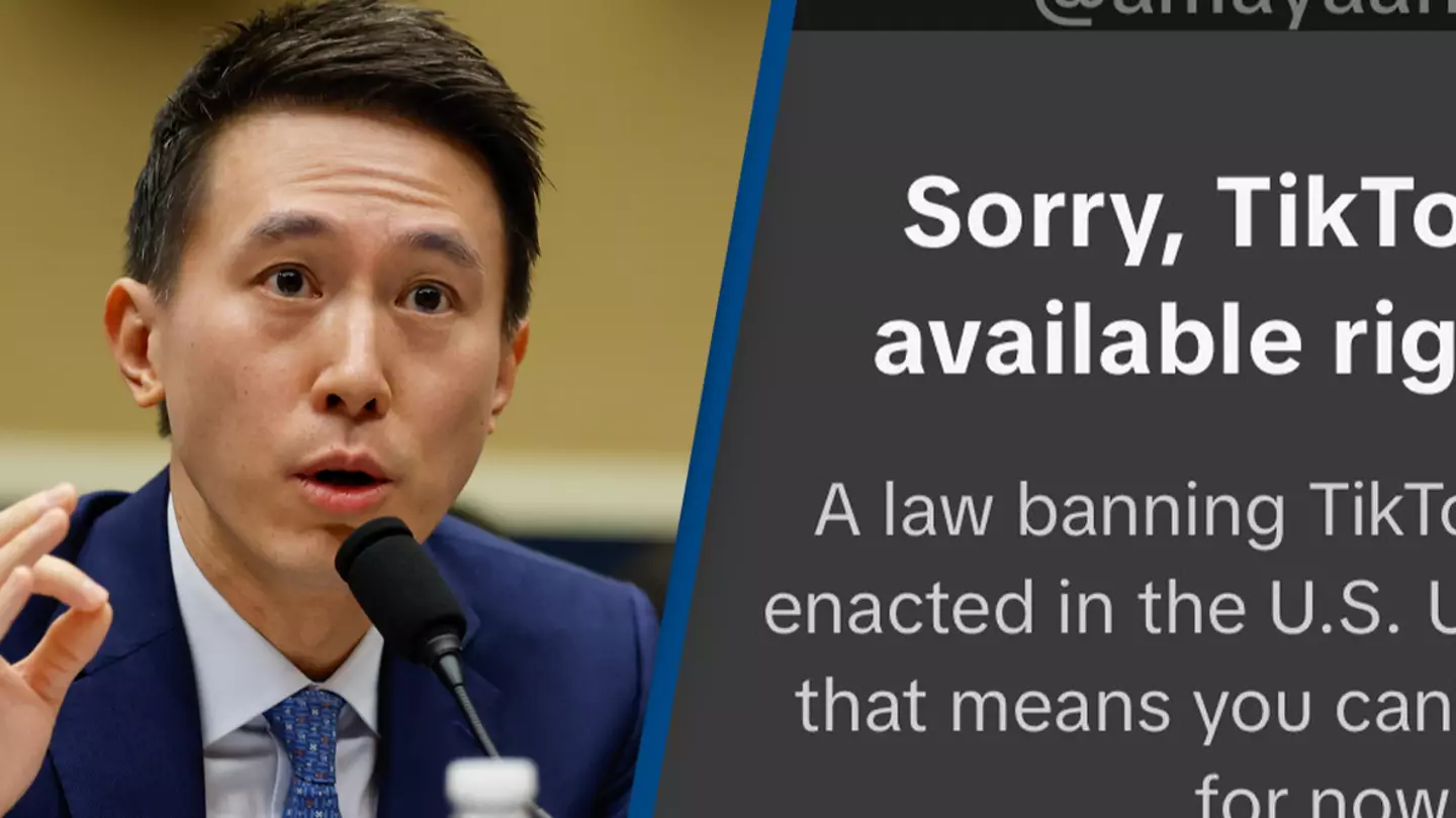TikTok hints that US ban is only temporary in message to its 170,000,000 users