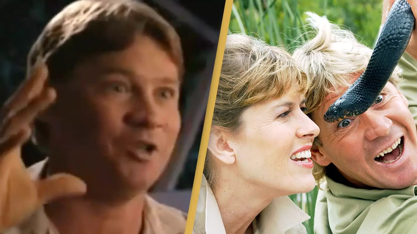 Steve Irwin describing moment he met wife Terri while animal was 'trying to kill him' has people in tears