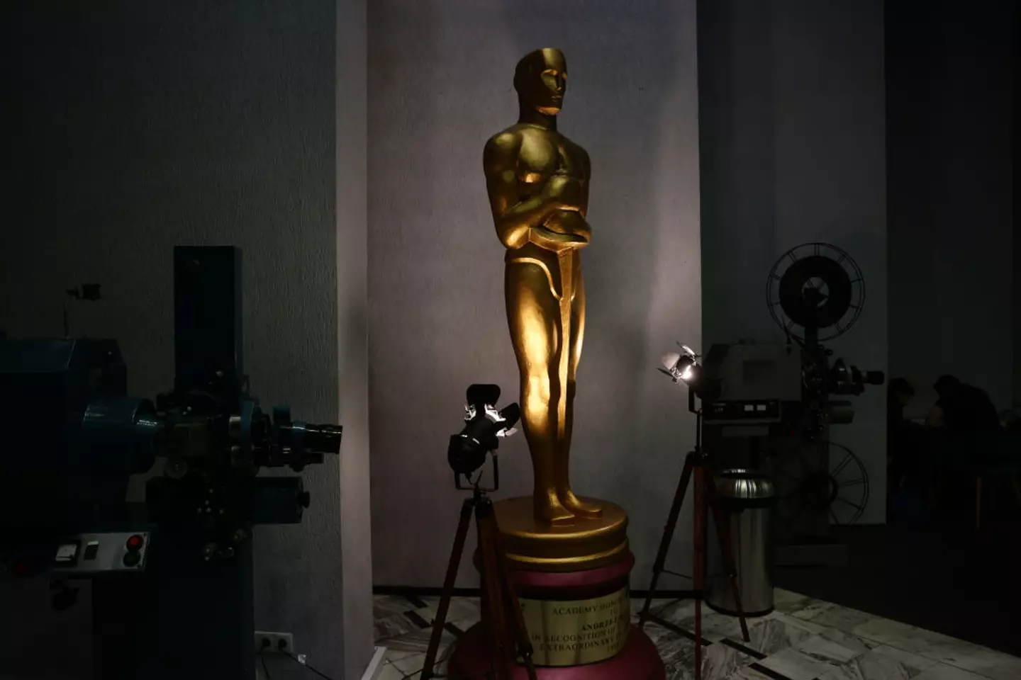The academy nominations explained. Credit:Photo by Jakub Porzycki/NurPhoto via Getty Images