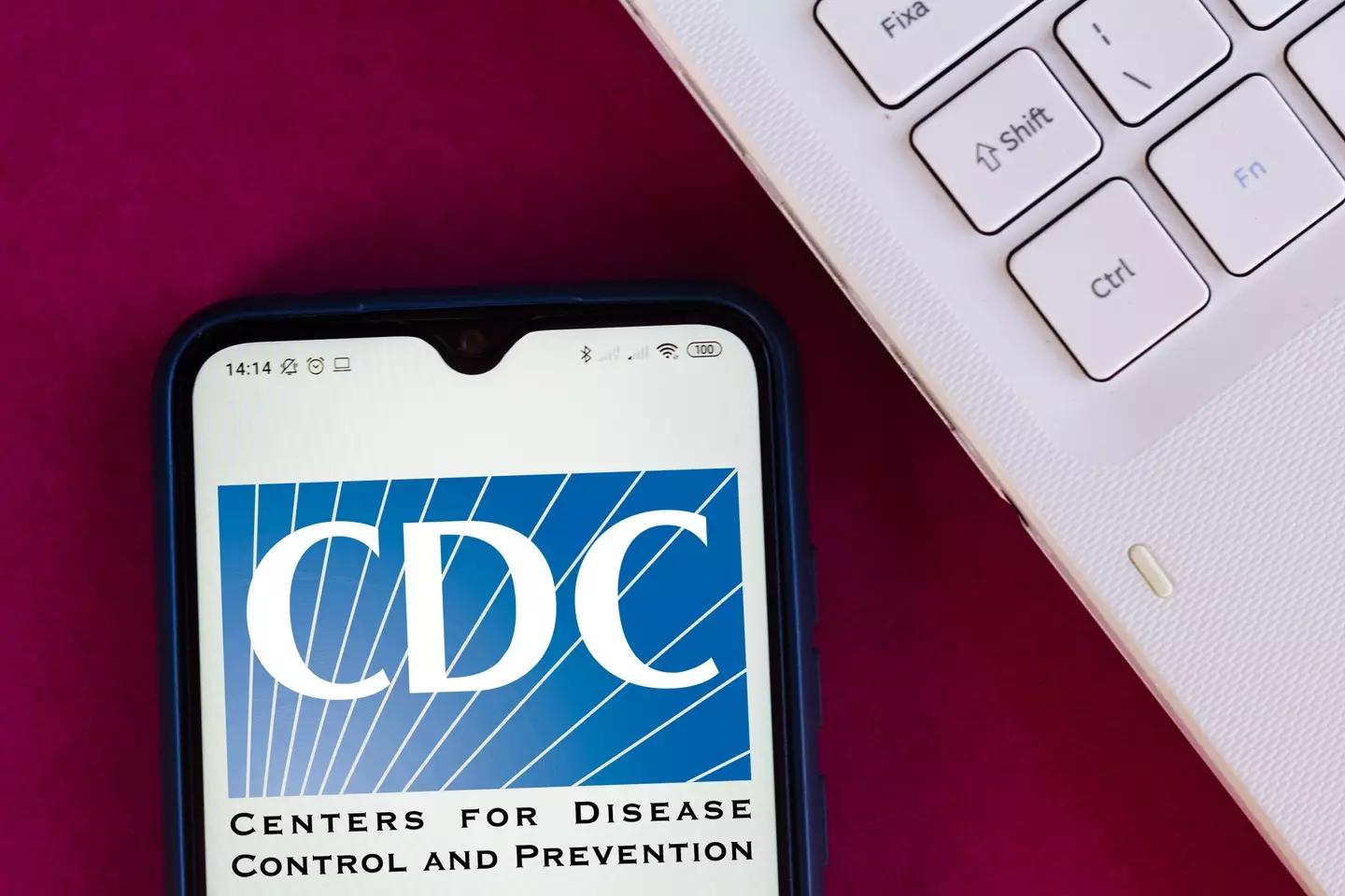 According to the CDC, around 80,000 Americans fall ill with Vibrio Vulnificus each year.