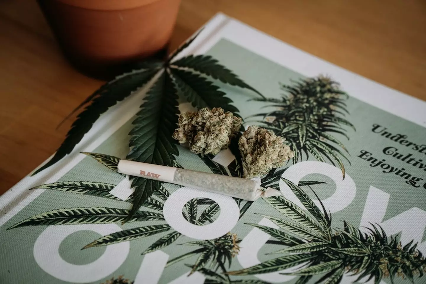 Germany is one step closer to legalising cannabis for recreational purposes.