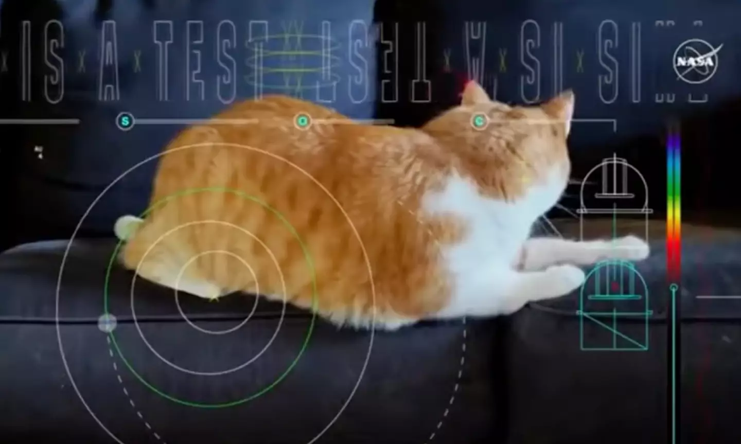 Taters is now famous.