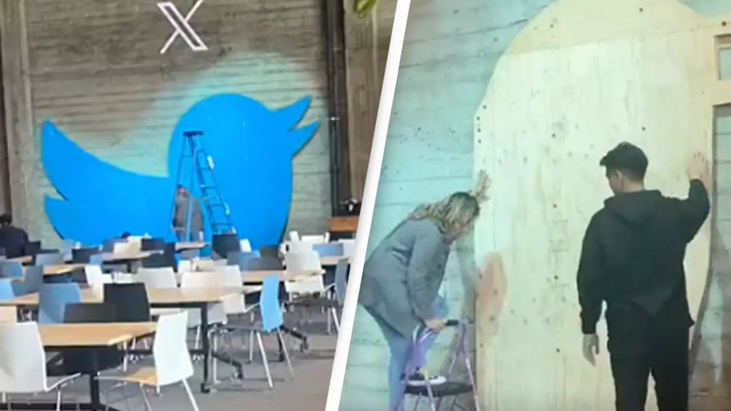 Video shows Twitter bird logo being removed from HQ's office and people are getting emotional