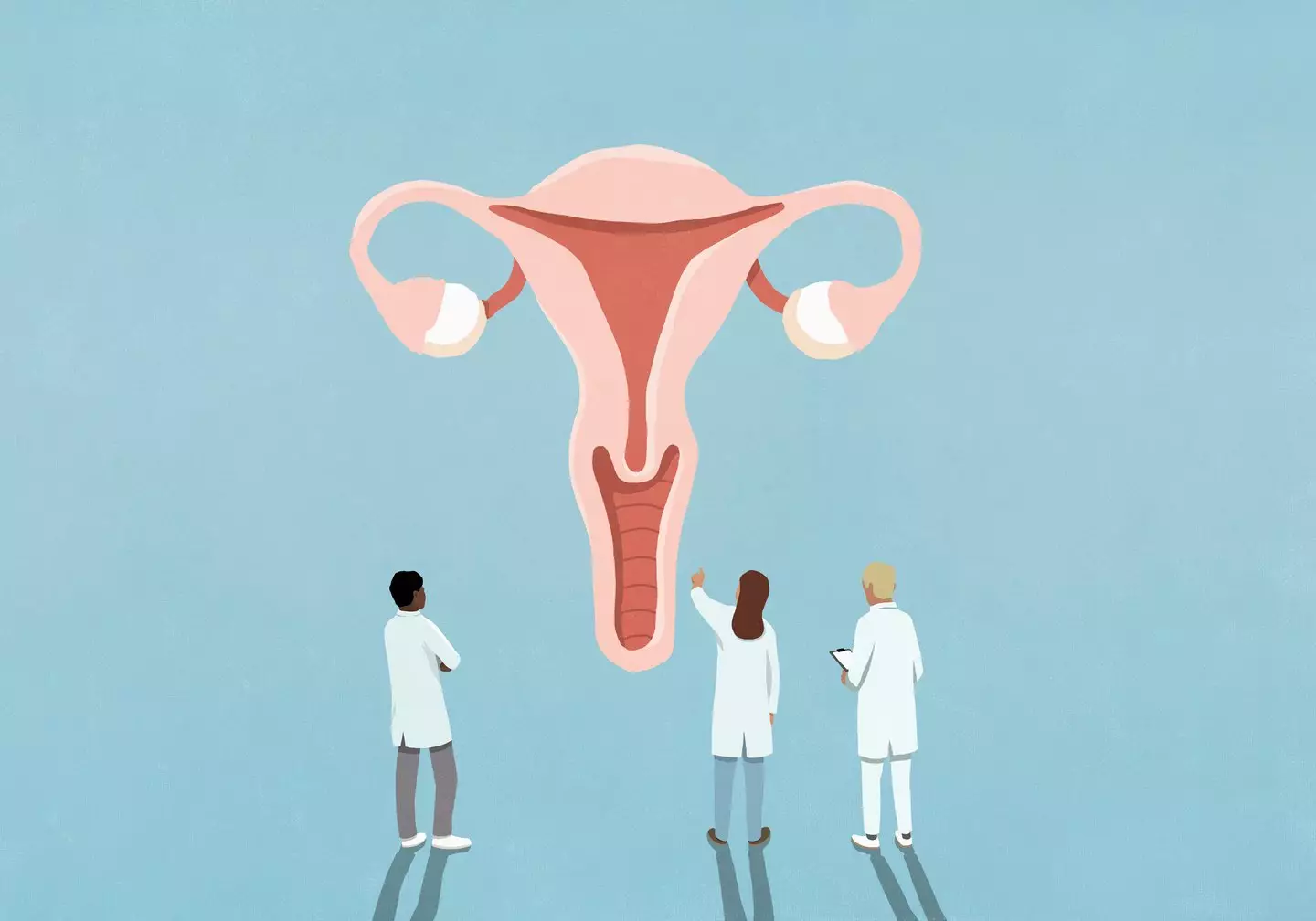 Experts have been analysing the female reproductive system (Getty Stock Photo)