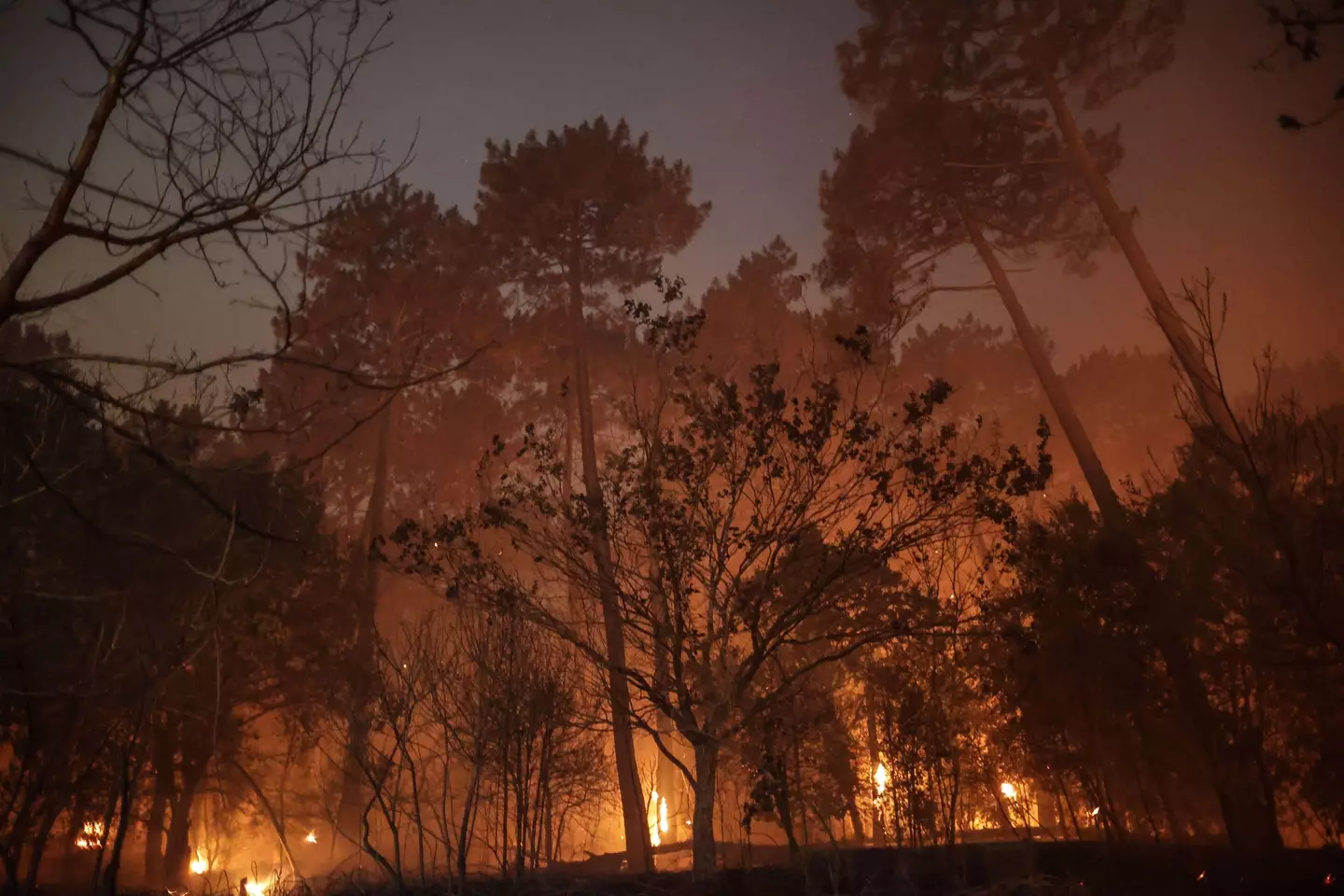 The southwest of France has been hit hard.