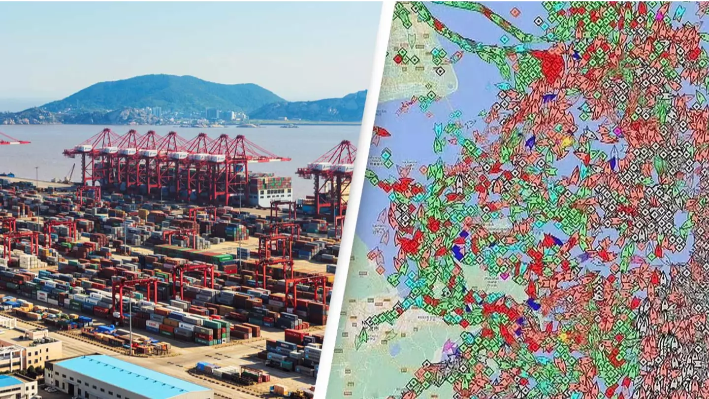 World's Busiest Port In Chaos As China Introduces New Policies