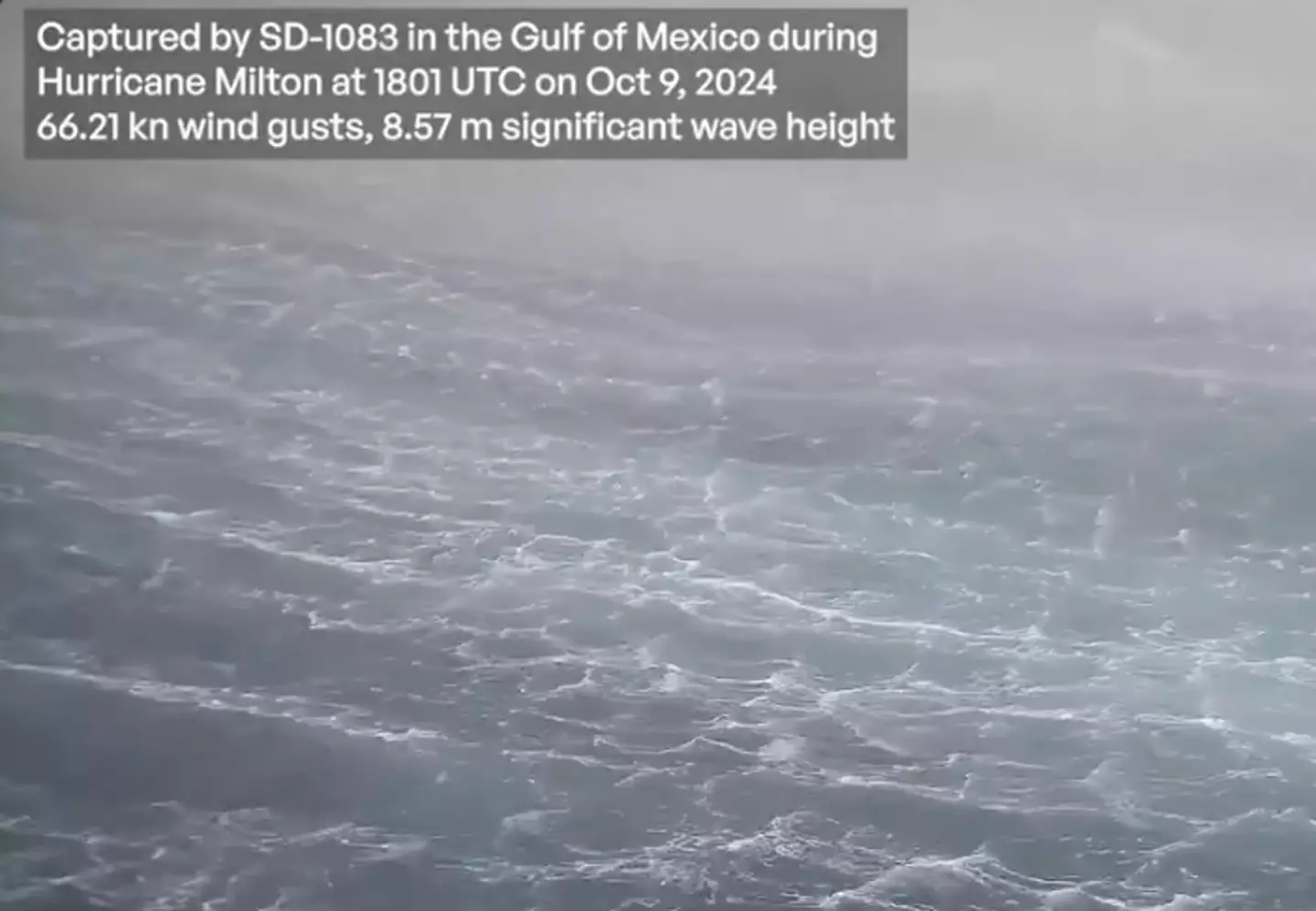 The footage was taken 40 nautical miles from the center of the hurricane (Twitter/ @NOAA_AOML)