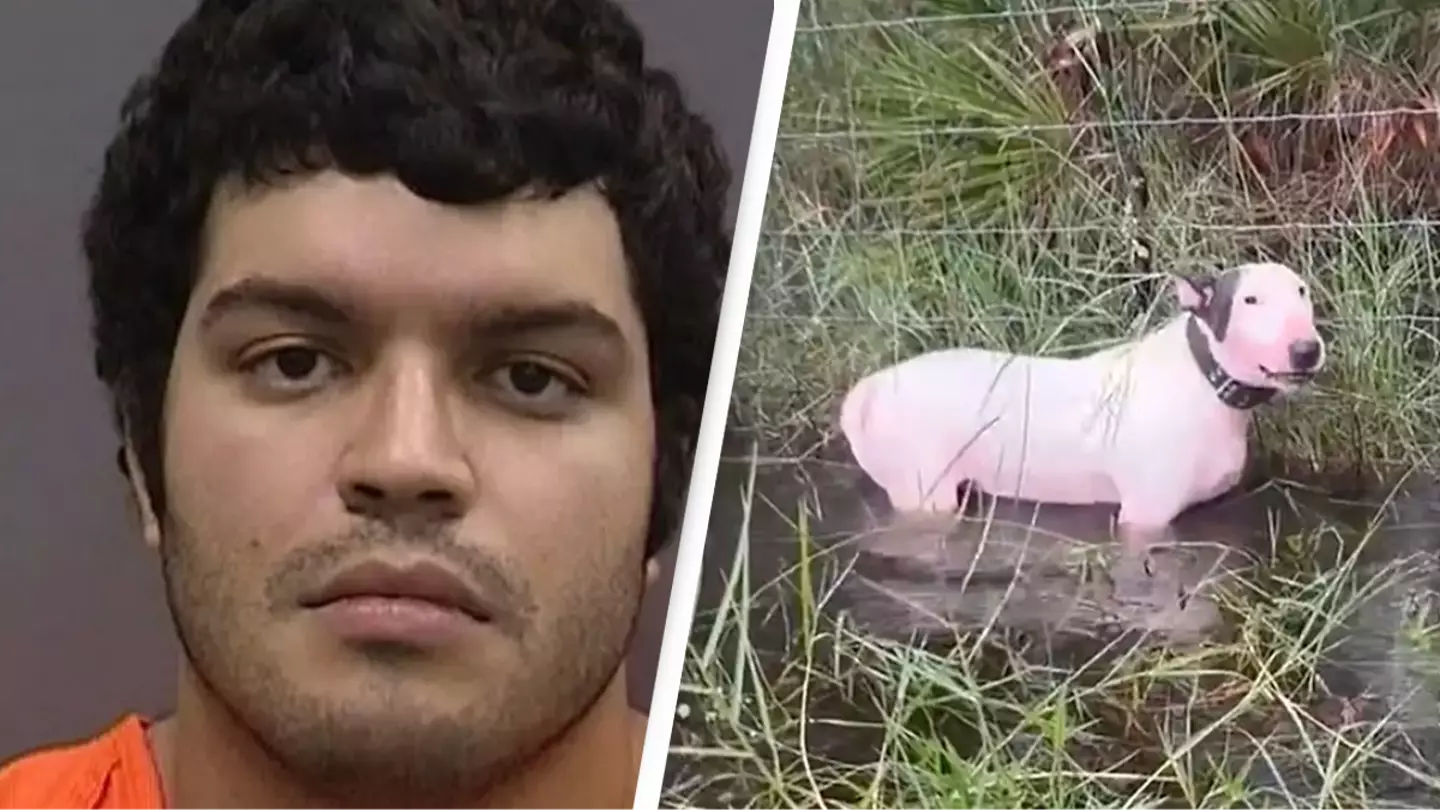 Man whose dog was found tied to fence in Hurricane Milton gives shocking reason to why he did it