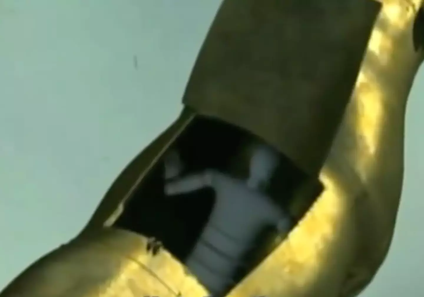 Perilaus was locked inside the Bull by Phalaris. (Discovery)