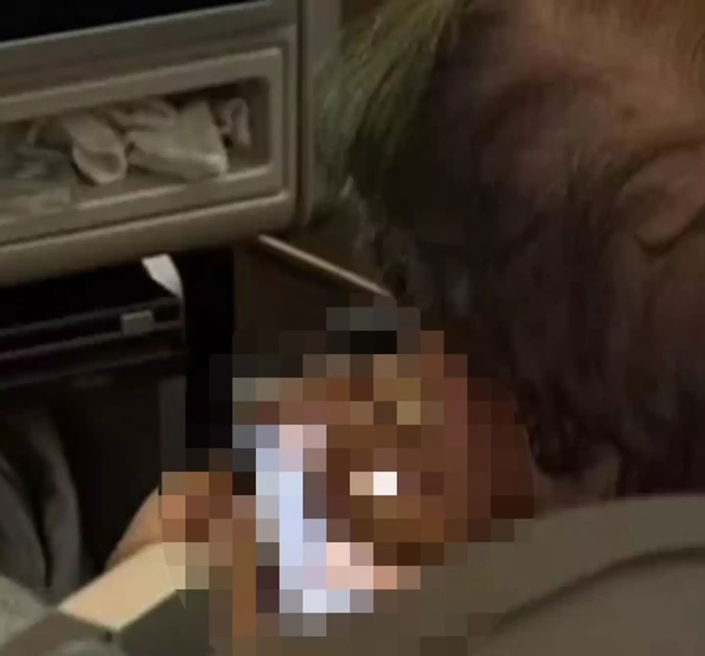A plane passenger was horrified to discover a man on the flight was watching hardcore porn.