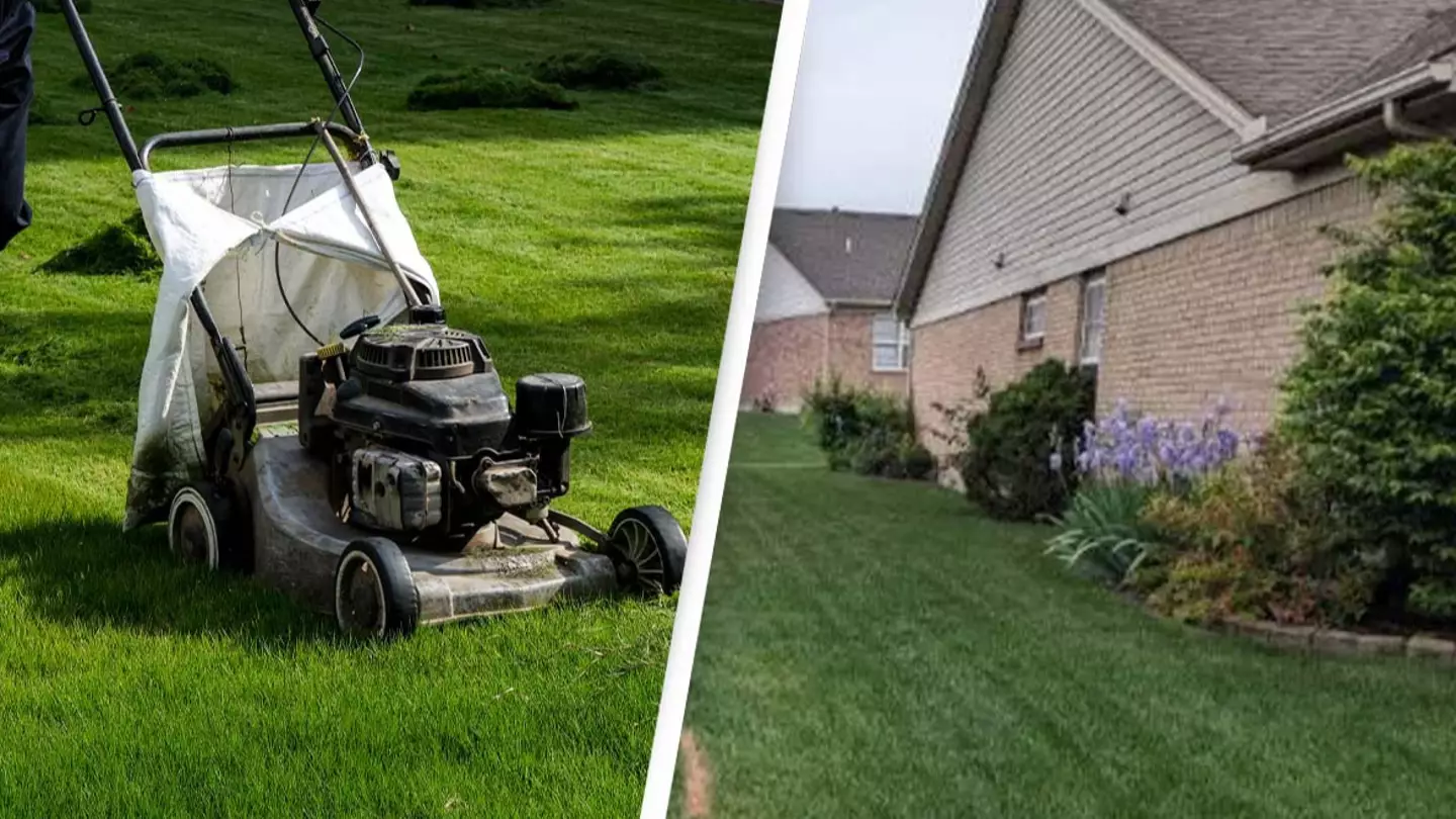 Neighbor has extremely petty response after woman accidentally mowed part of their grass