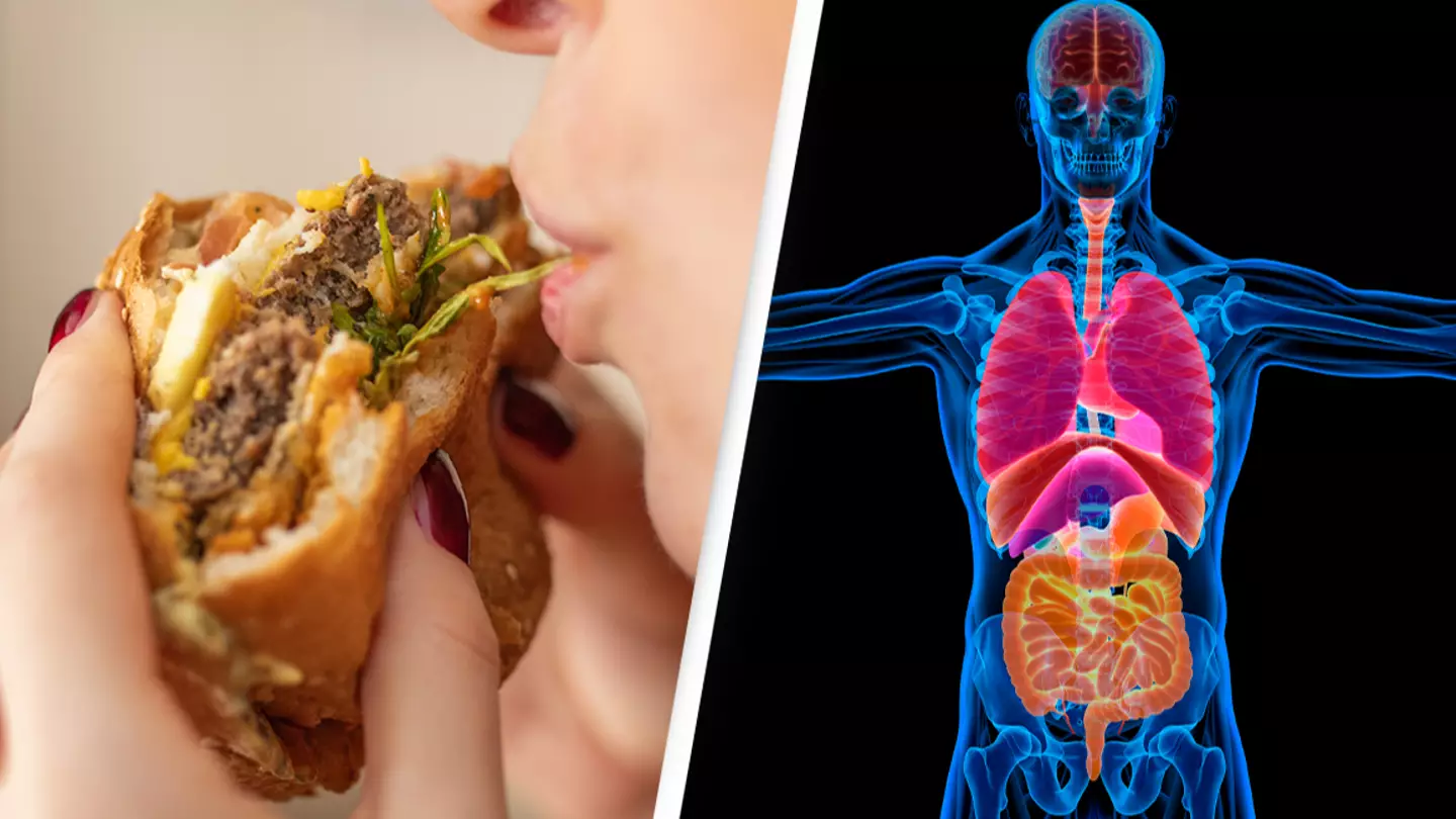 Toxicologist reveals eight everyday things people are doing which could be 'damaging' their bodies