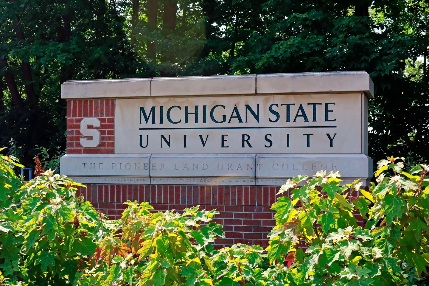 A former student has filed a lawsuit against the Michigan State University (Education Images/Universal Images Group via Getty Images)