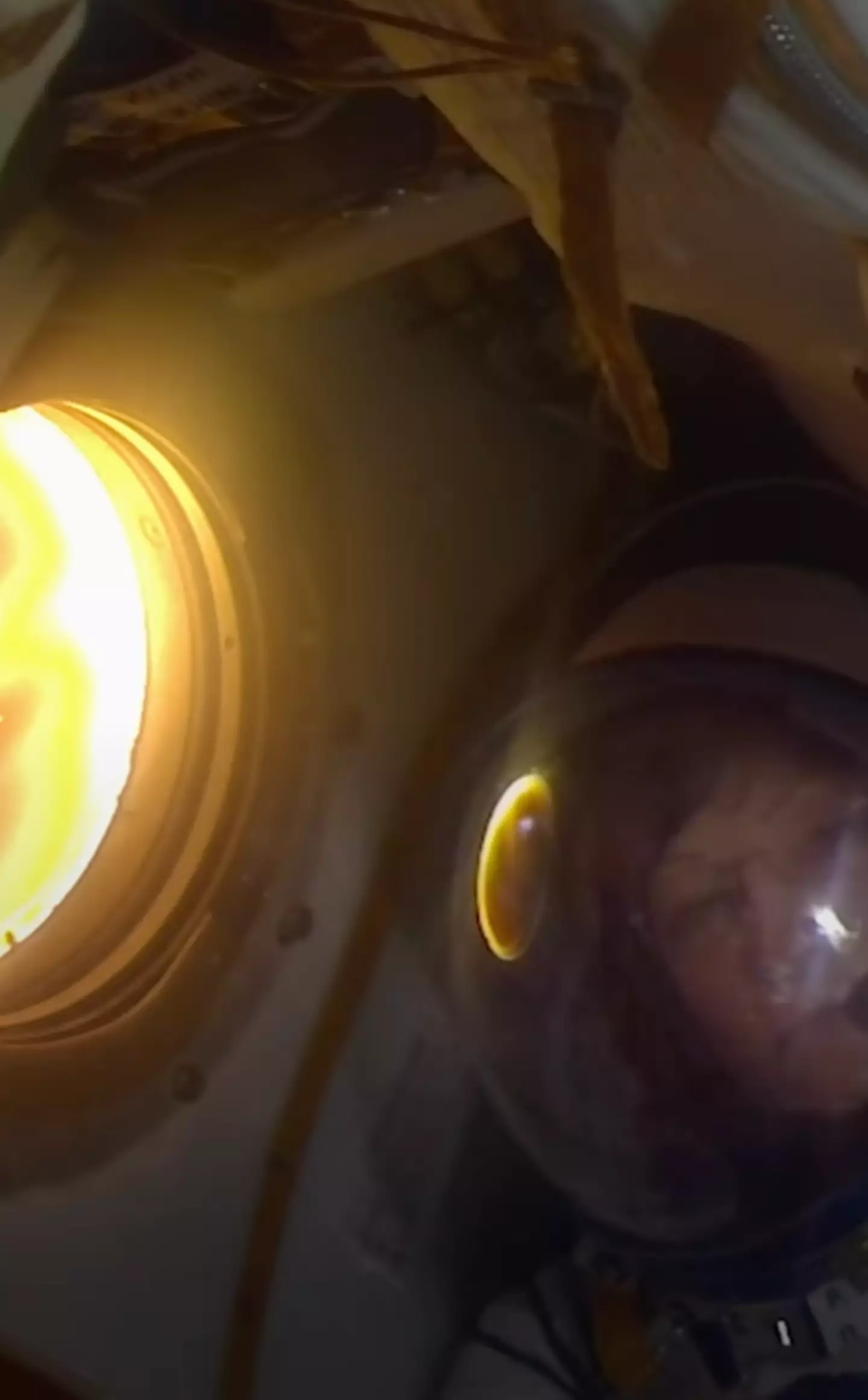 It's certainly not for the faint-hearted (National Geographic TV)