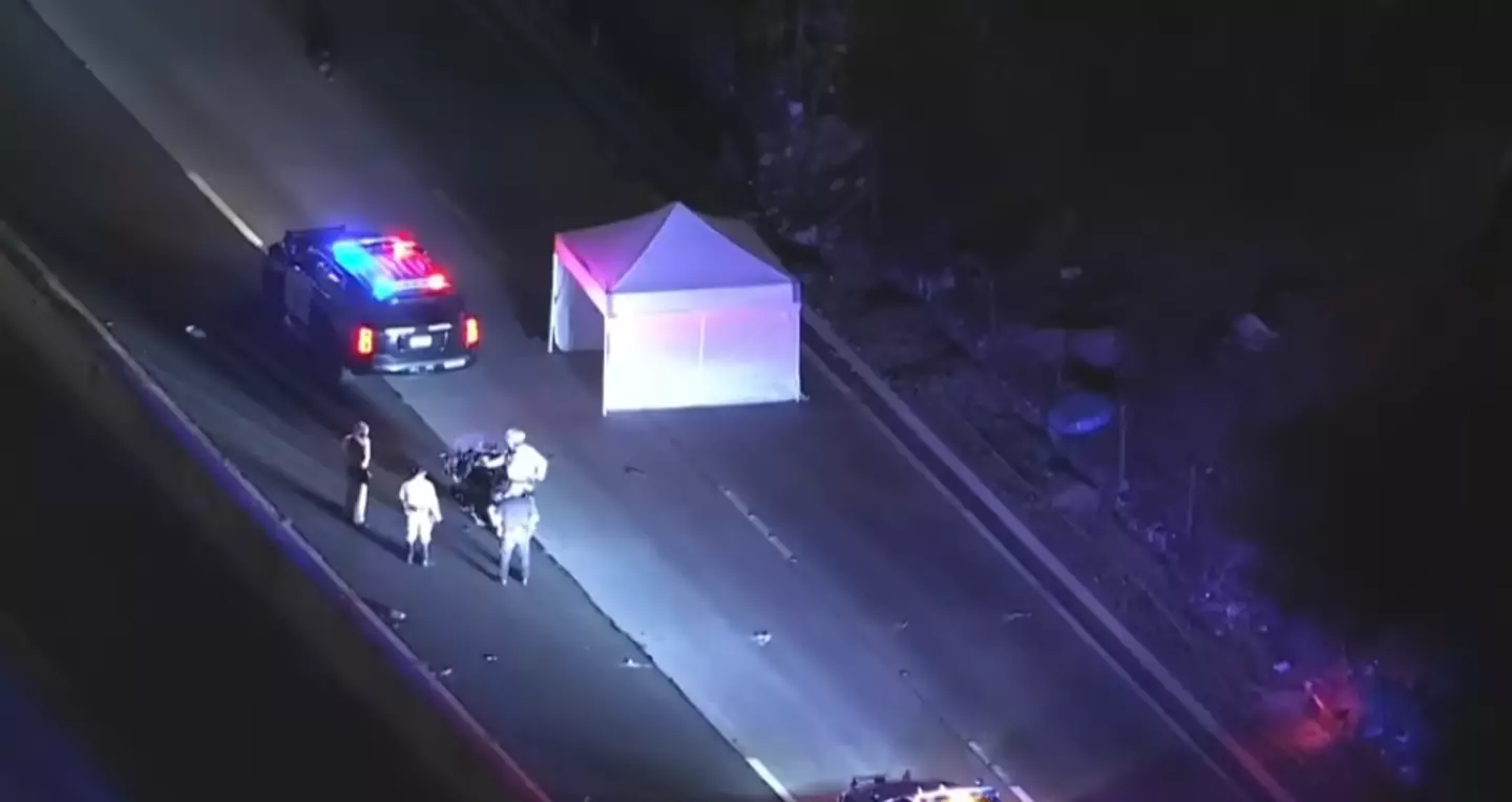 The suspect was sadly struck and killed (KLTA 5/YouTube)