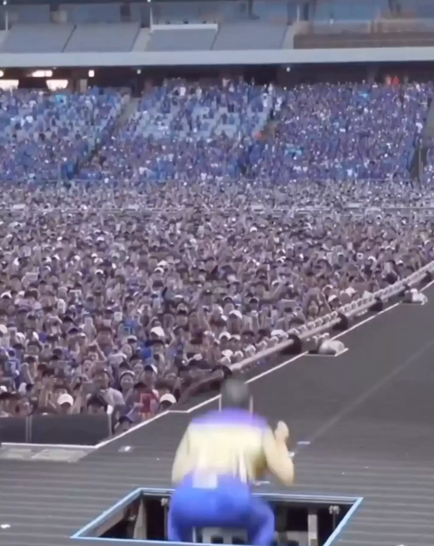 The crowd were suitably impressed.