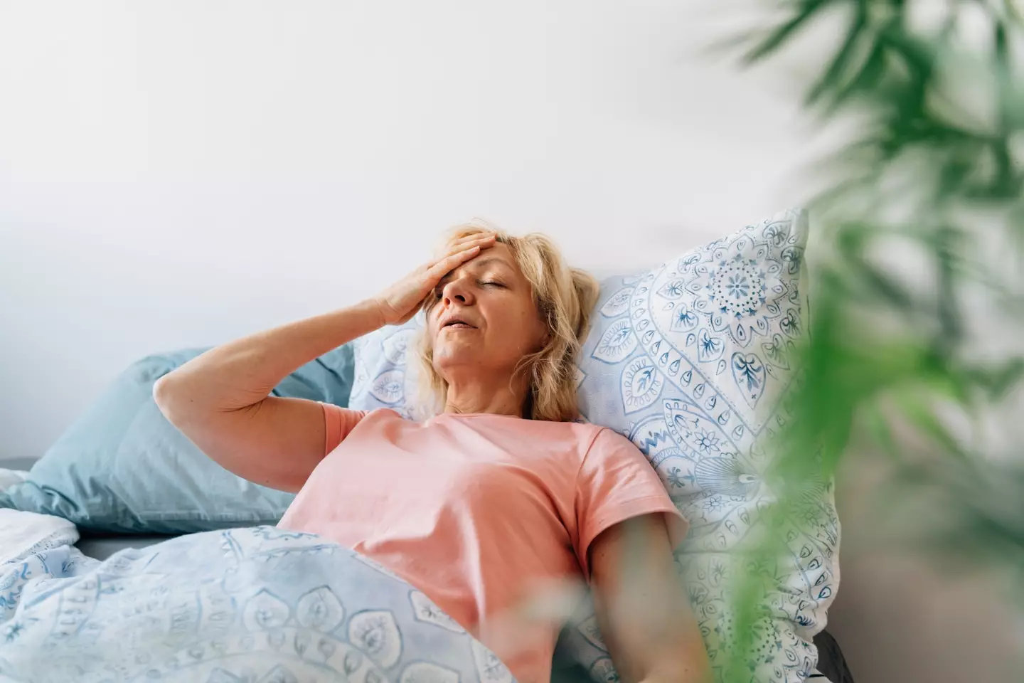 Some women insisted more men needed to see the video to get an understanding of hot flashes(Getty Stock Image)