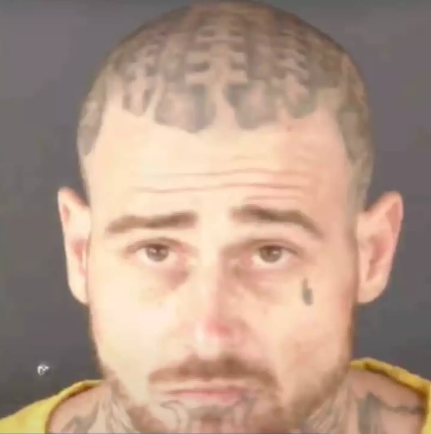 Police highlighted the culprit had a lengthy criminal history (WFLA News)