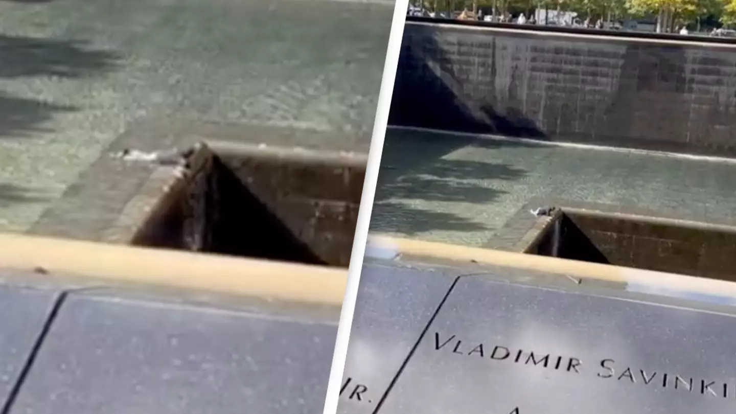 Man survives after jumping into North Pool at 9/11 memorial only to be arrested