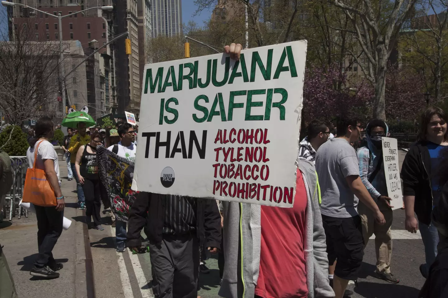 Pro-marijuana rally (