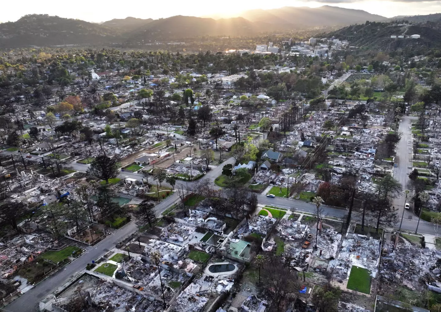 An aerial view of new greenery following recent rains amid homes destroyed in the Eaton Fire, in Los Angeles, pictured on March 11 (Mario Tama/Getty Images)