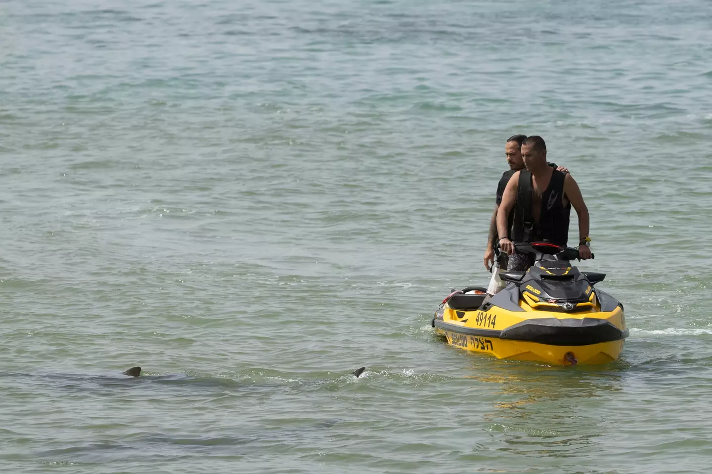 An extensive search operation was launched following the attack on Hadera beach (Amir Levy/Getty Images)
