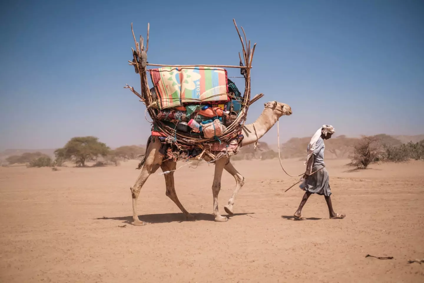 A year on the Ge'ez calendar consists of 12 months, each totalling 30 days and includes an unusual 13th month, called Pagume. (EDUARDO SOTERAS/AFP via Getty Images)