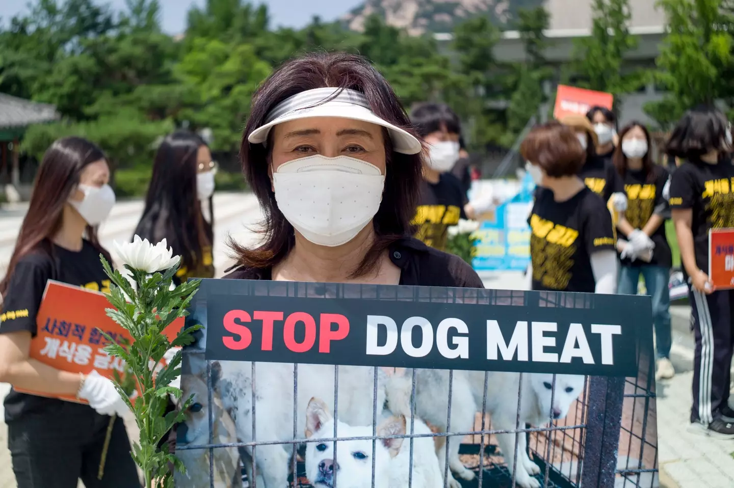 Eating dog meat is becoming less popular as criticism grows.