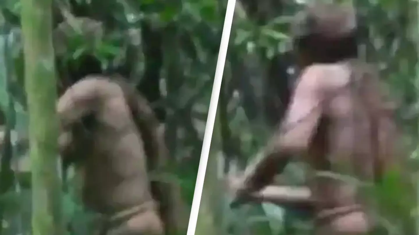 More details come to light of how 'world's loneliest man' survived alone in rainforest for 26 years