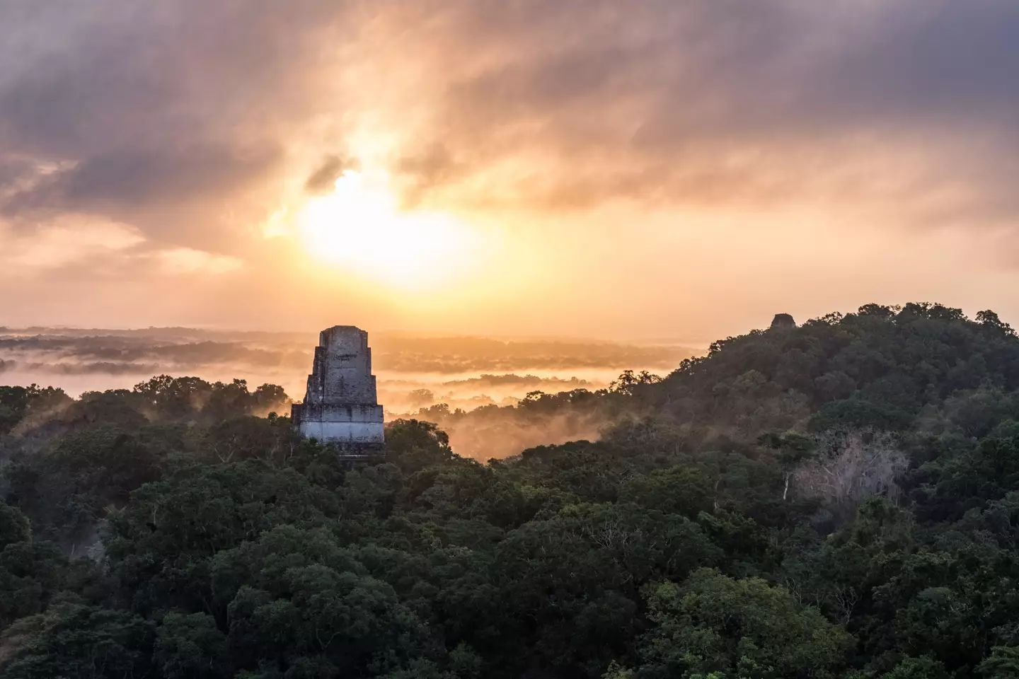 Temples in Tikal National Park.