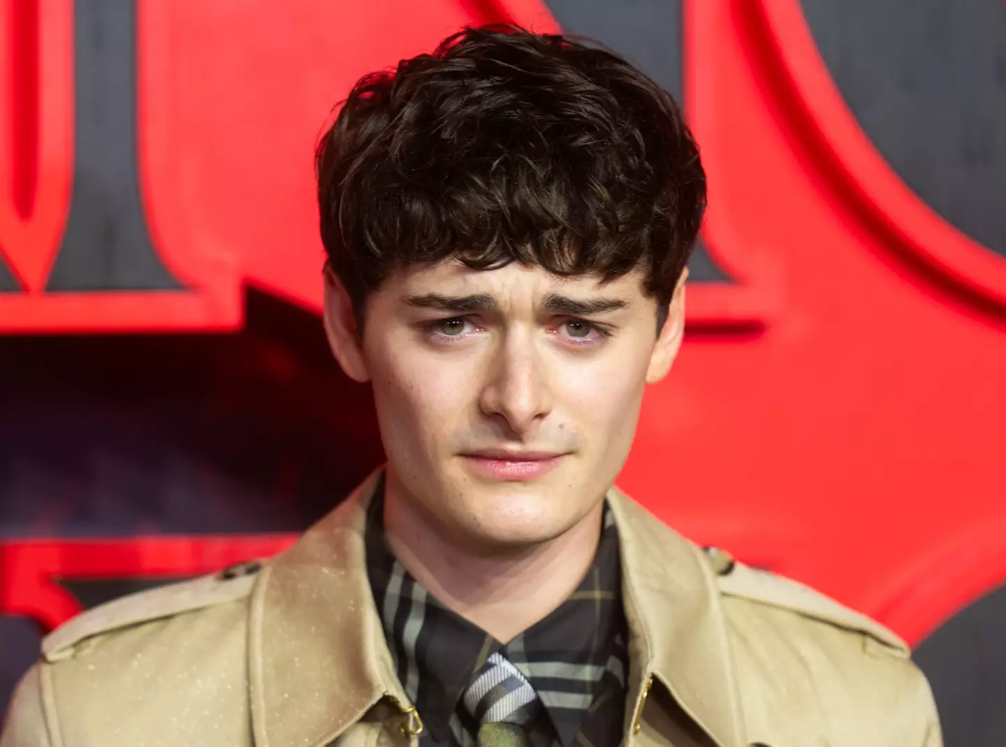 Noah Schnapp is one of the youngest members of the cast (Samir Hussein/WireImage)