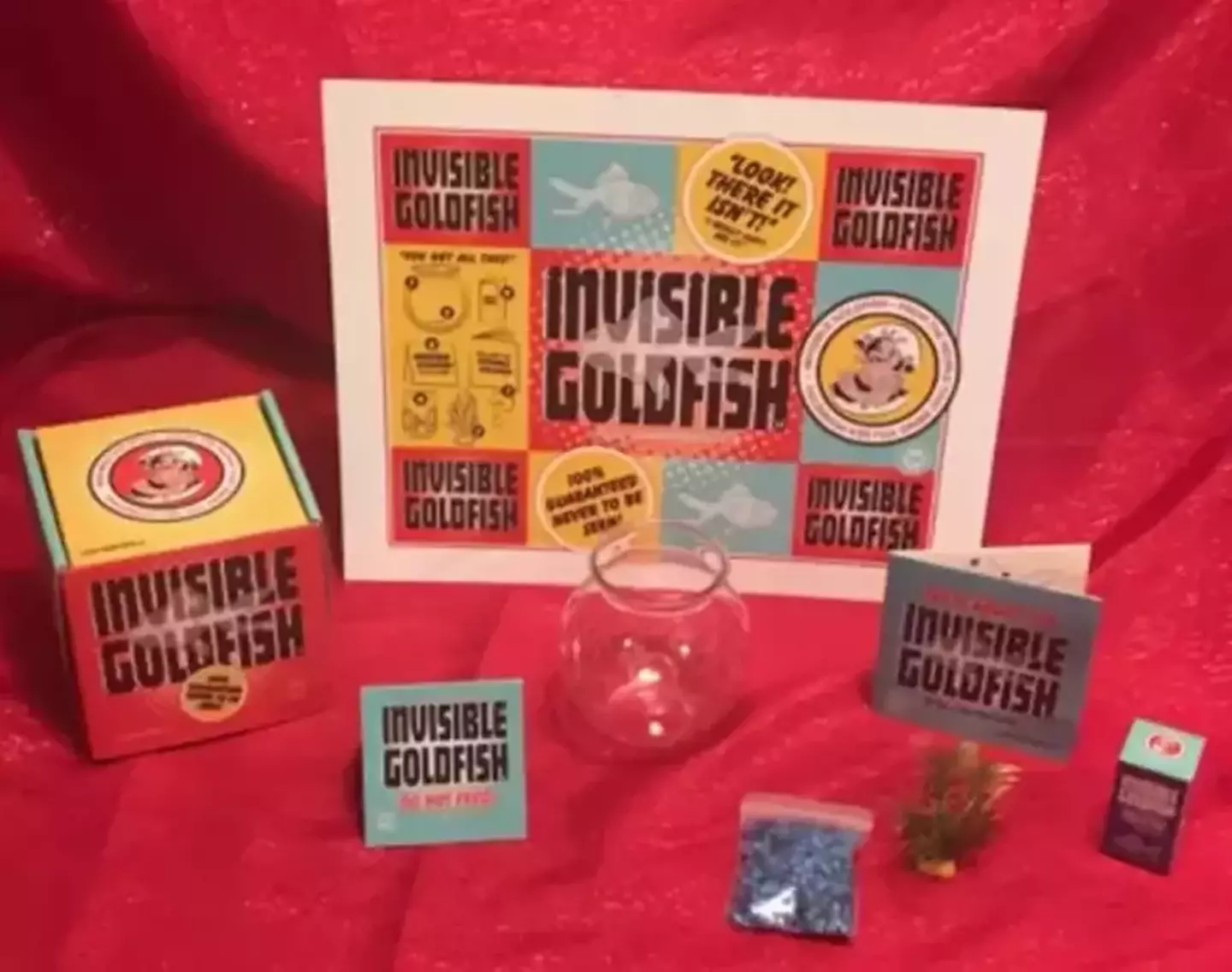 The 'Invisible Goldfish', an empty fishtank (Sea Monkeys)