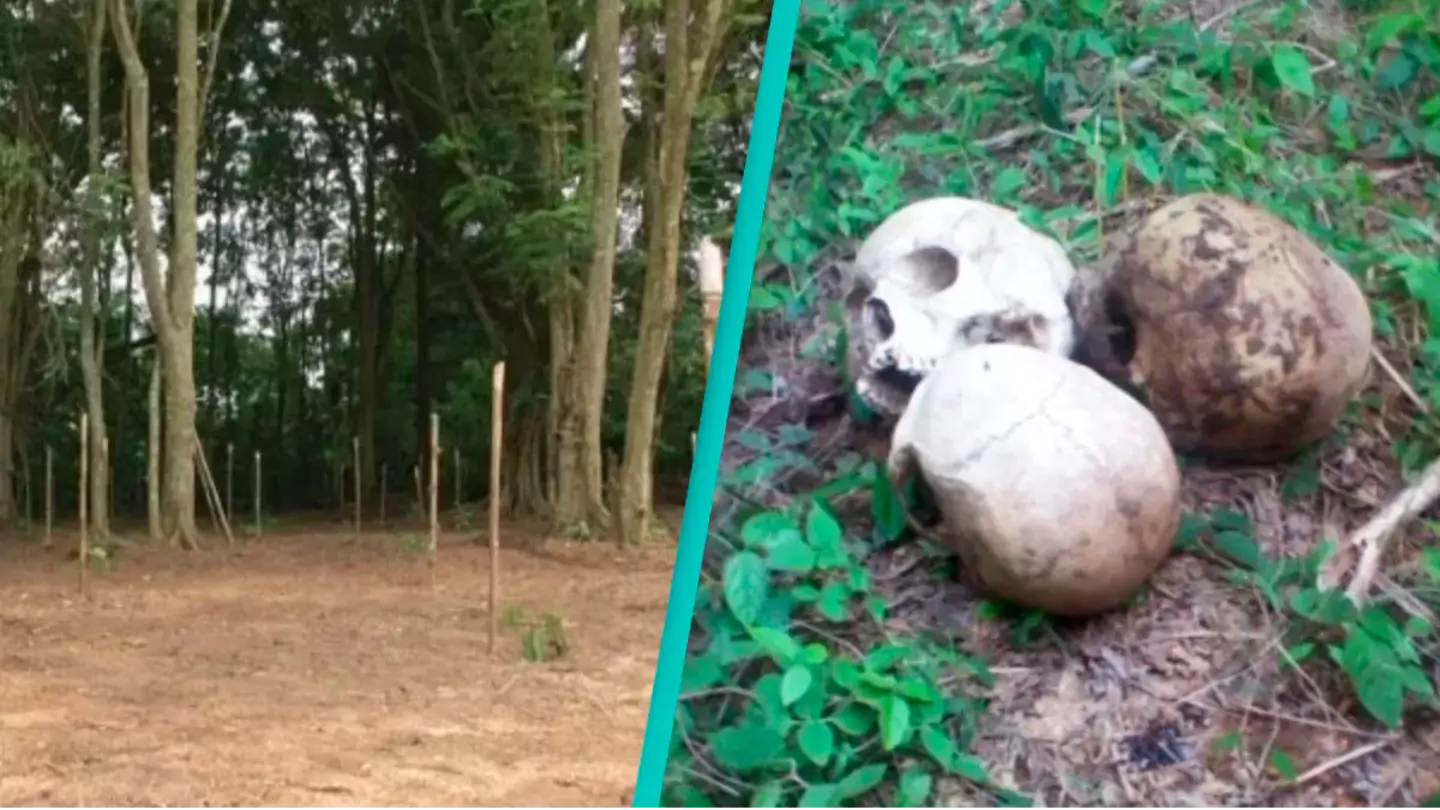 Nigeria had a chilling Forest of Horror where countless people mysteriously vanished