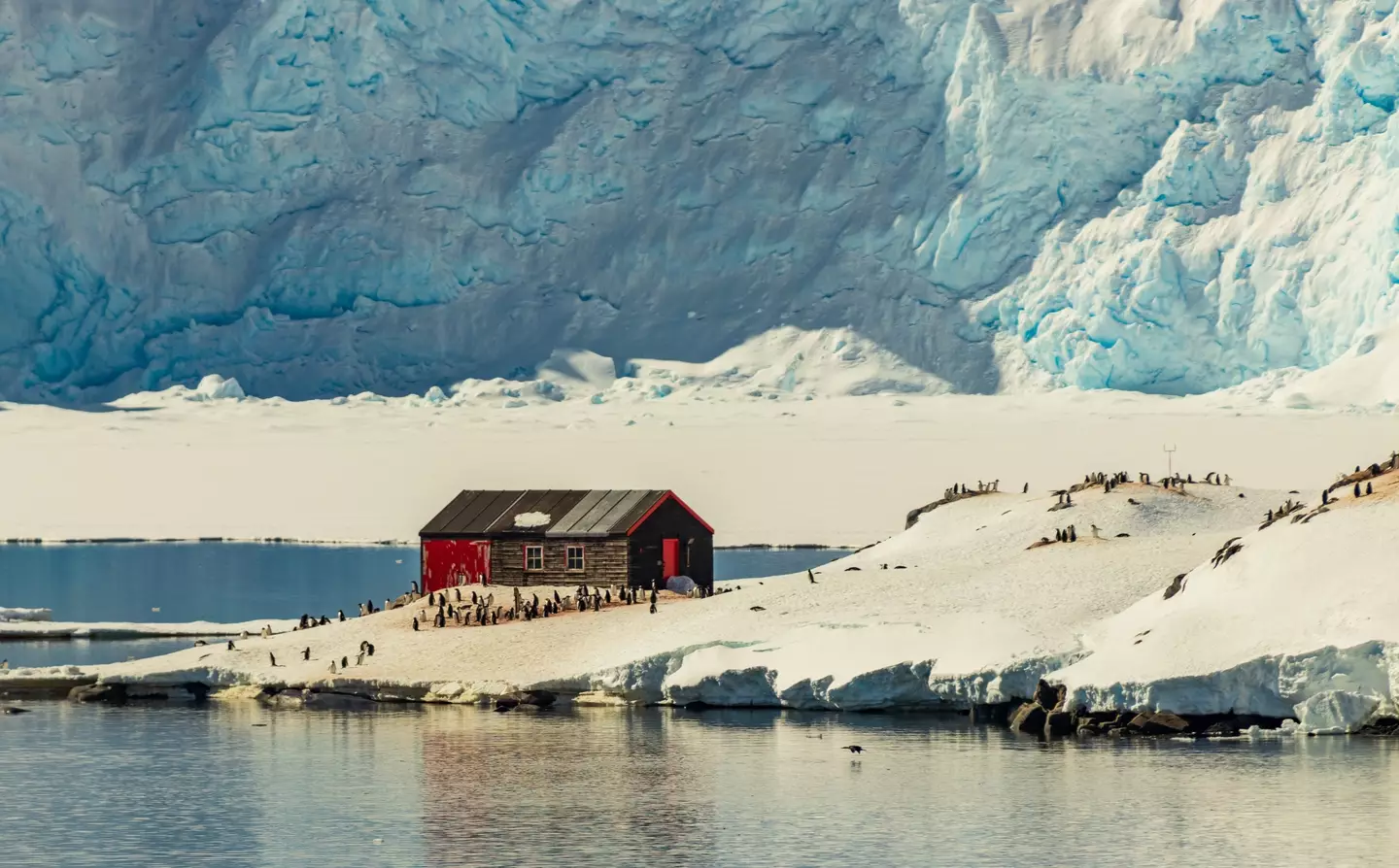 Port Lockroy in Antarctica.