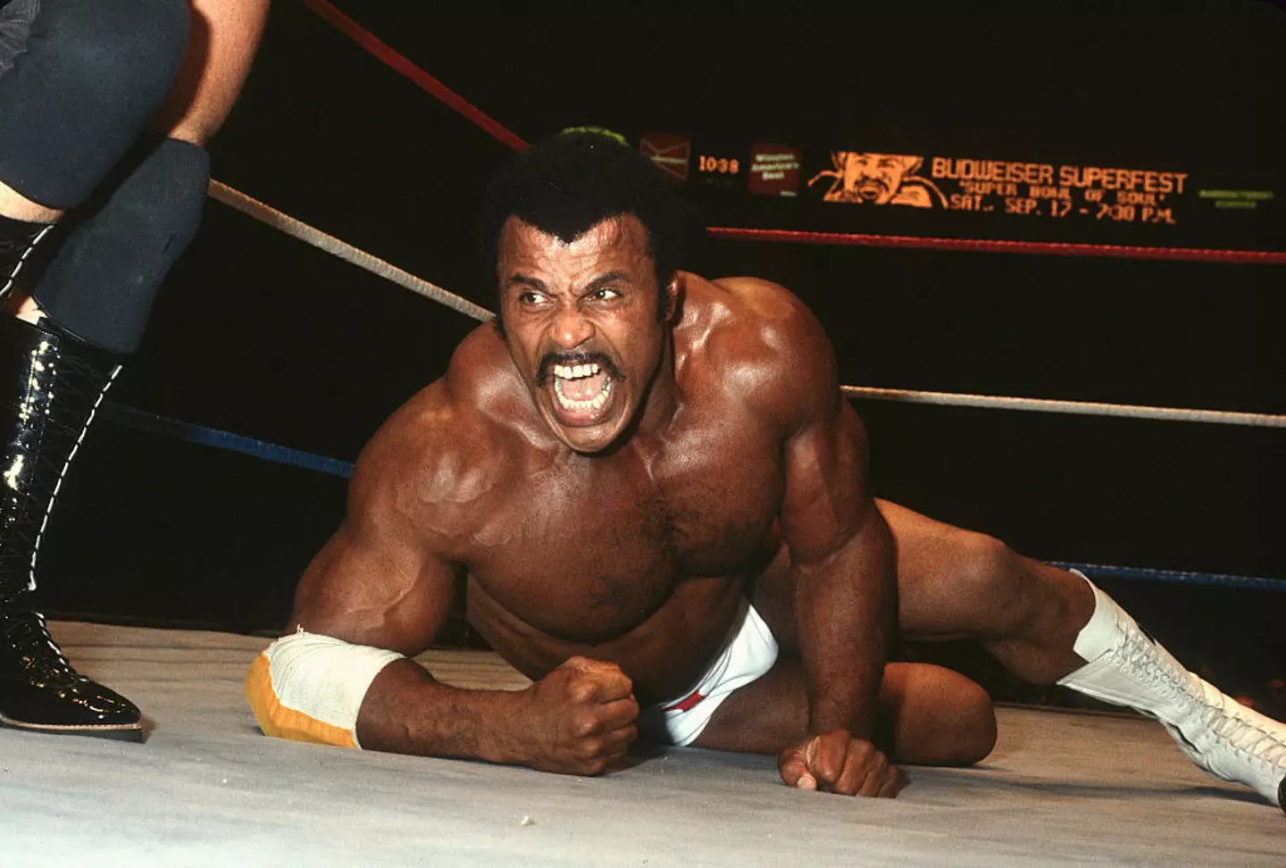 Rocky Johnson passed away a year after their argument (WWE/WWE via Getty Images)