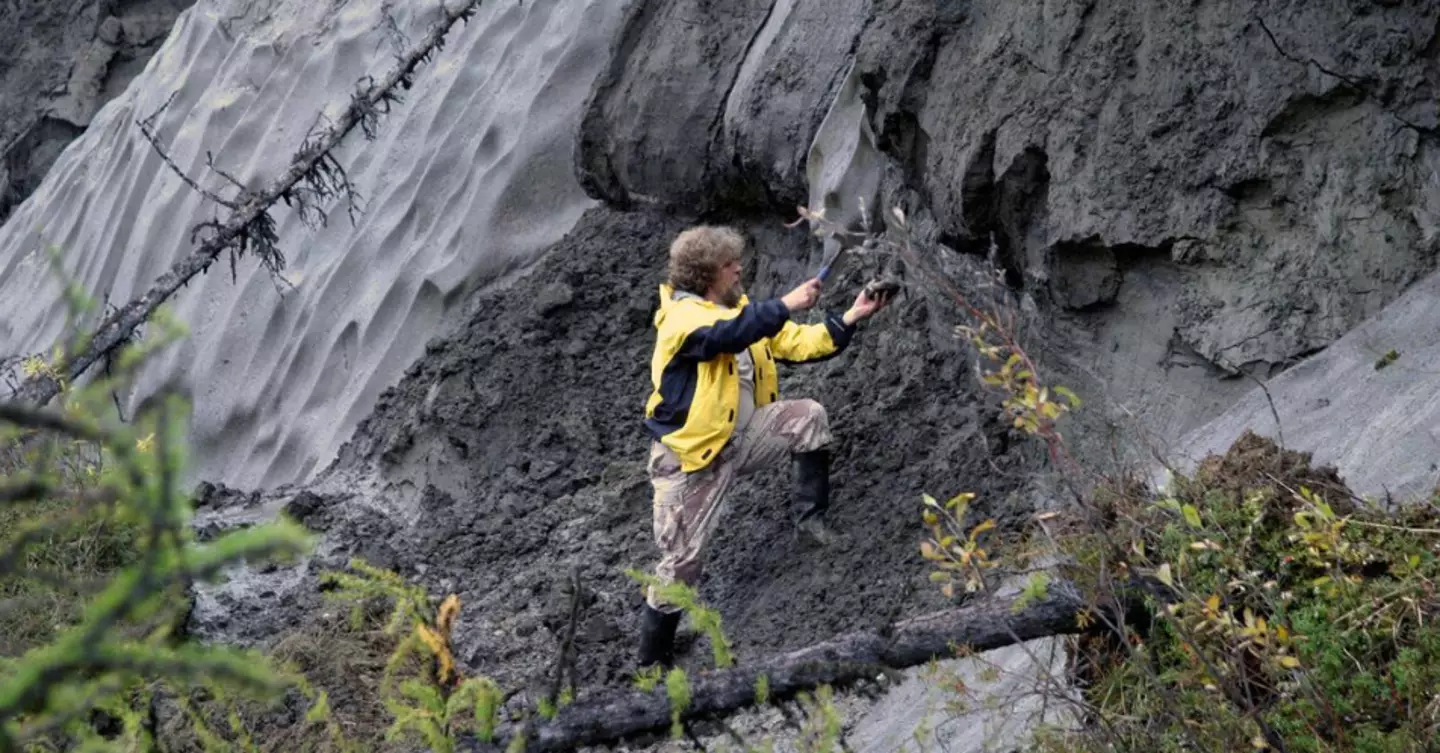 A scientist takes a ground sample from a layer of melting permafrost on the Duvanny Yar cliff in northeast Siberia.