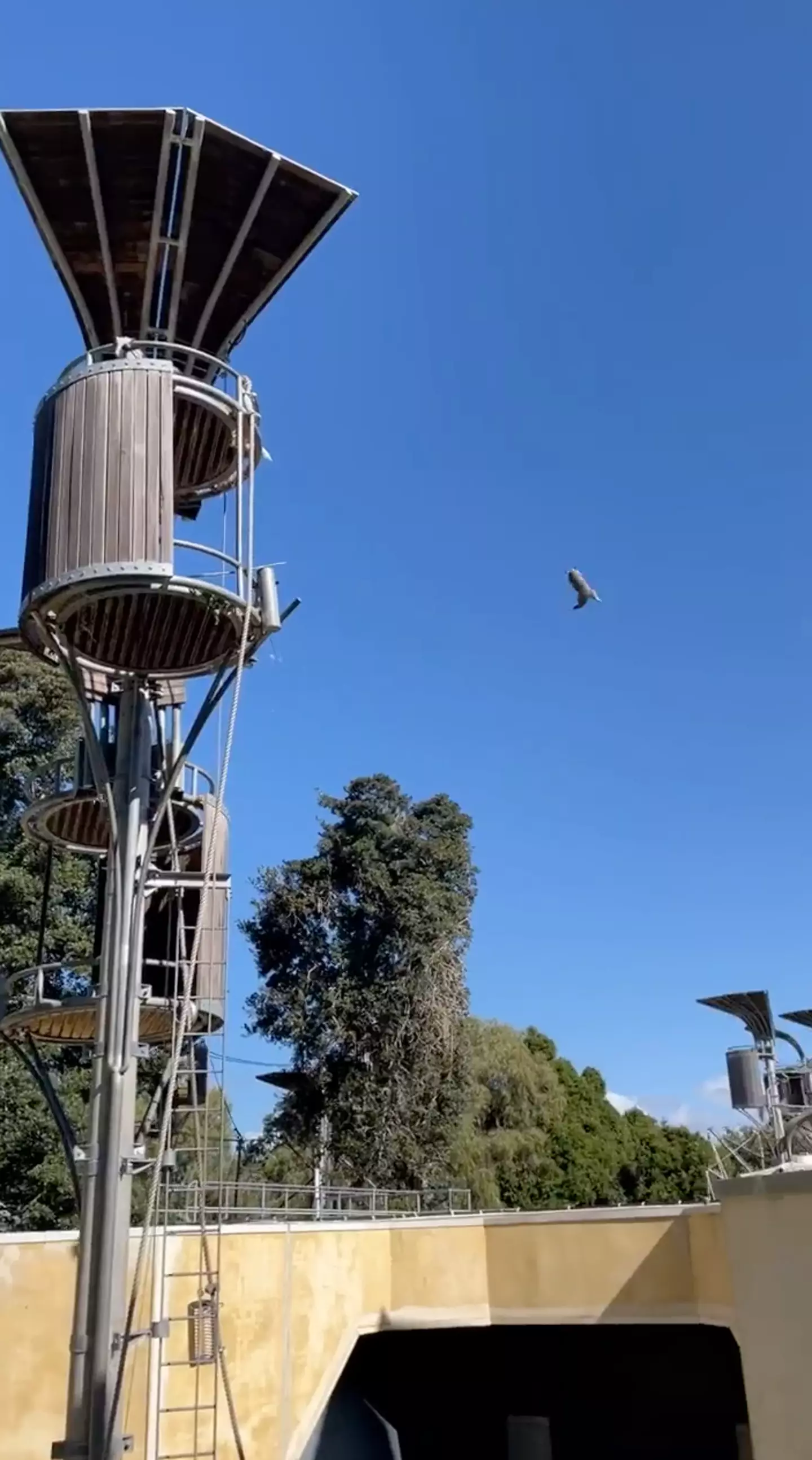 Viewers were stunned by the viral footage taken at Perth Zoo in Australia on Saturday (9 September).