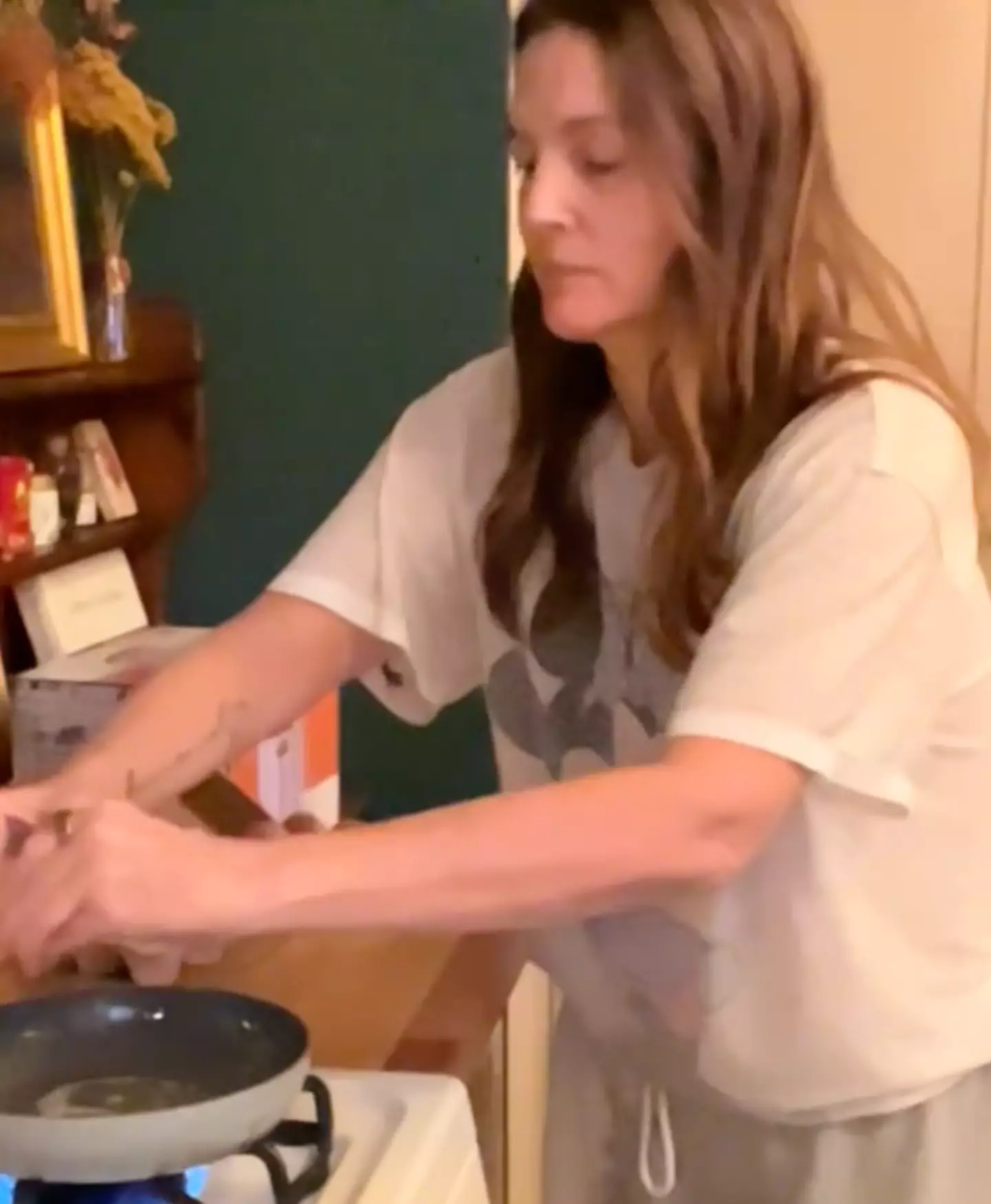 Life seems pretty normal in the Barrymore household (TikTok/@drewbarrymore)