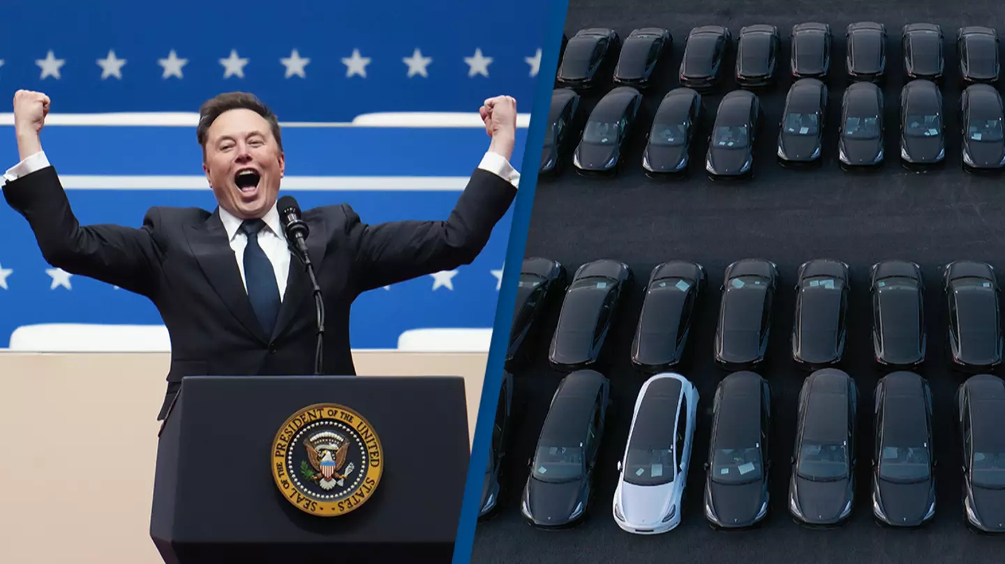 Tesla value drops $15,000,000,000 and Elon Musk is at the center of why