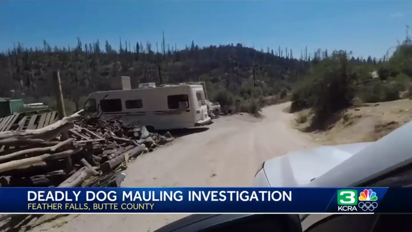 A neighbour called the attack '100% preventable'. (KCRA)